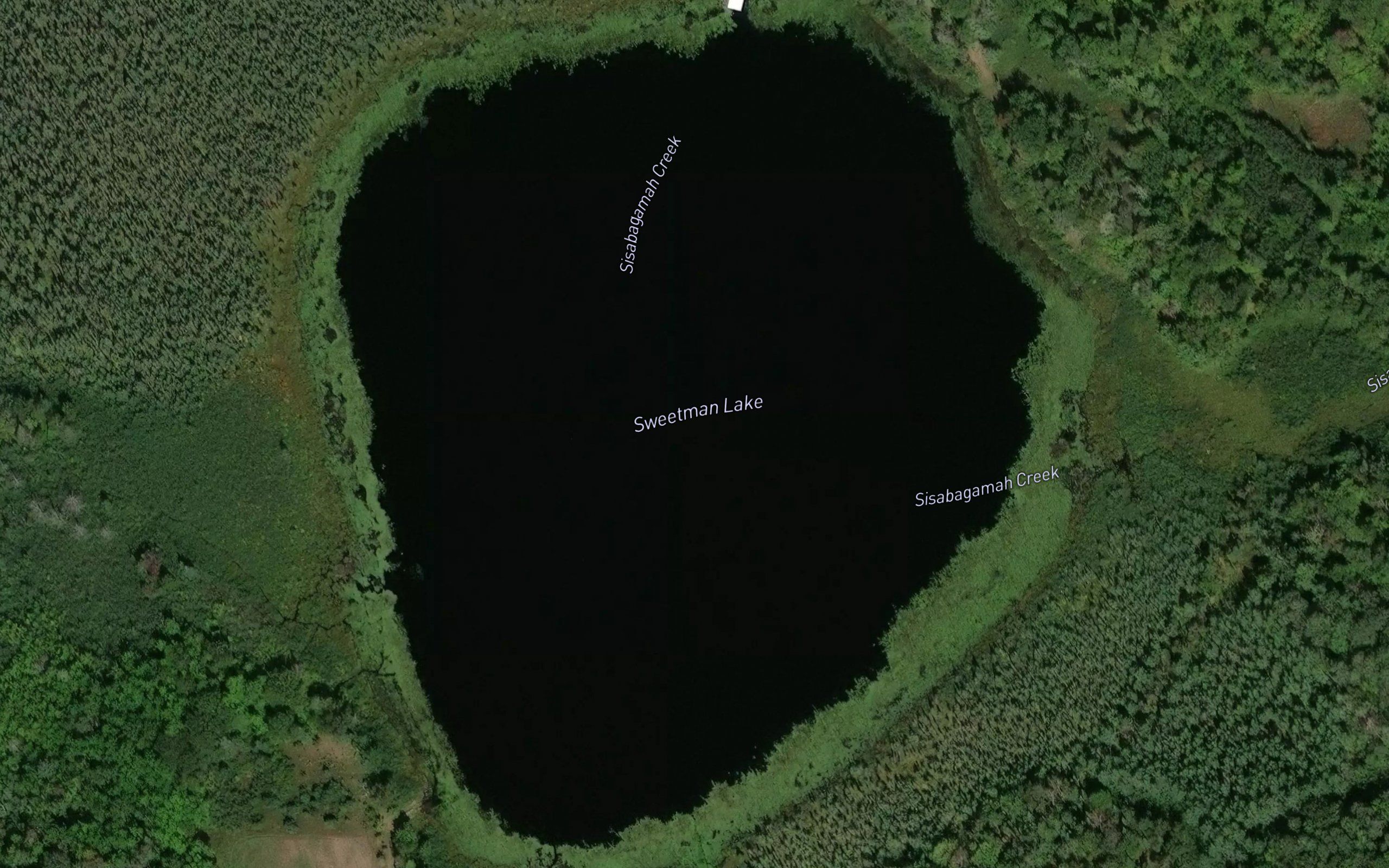 Sweetman Lake