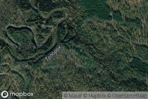 Romanovka