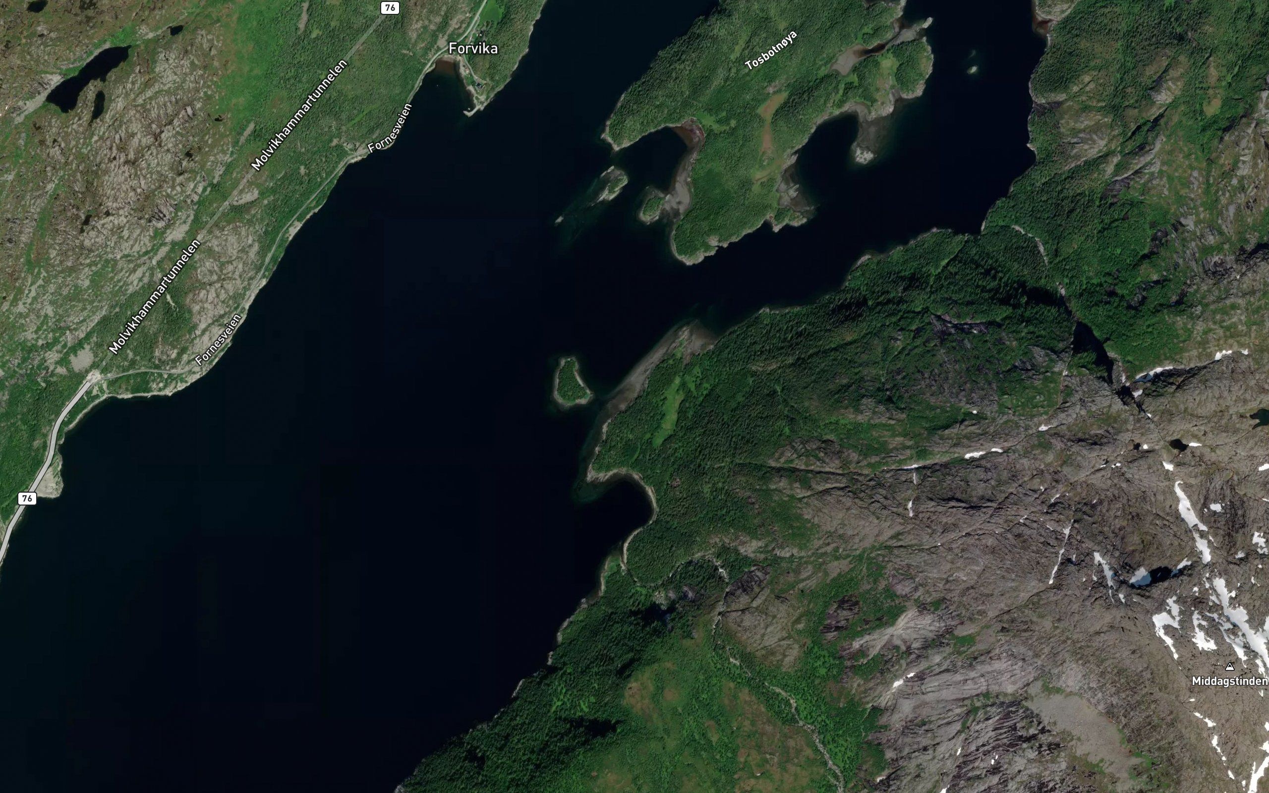 Eldhusvika