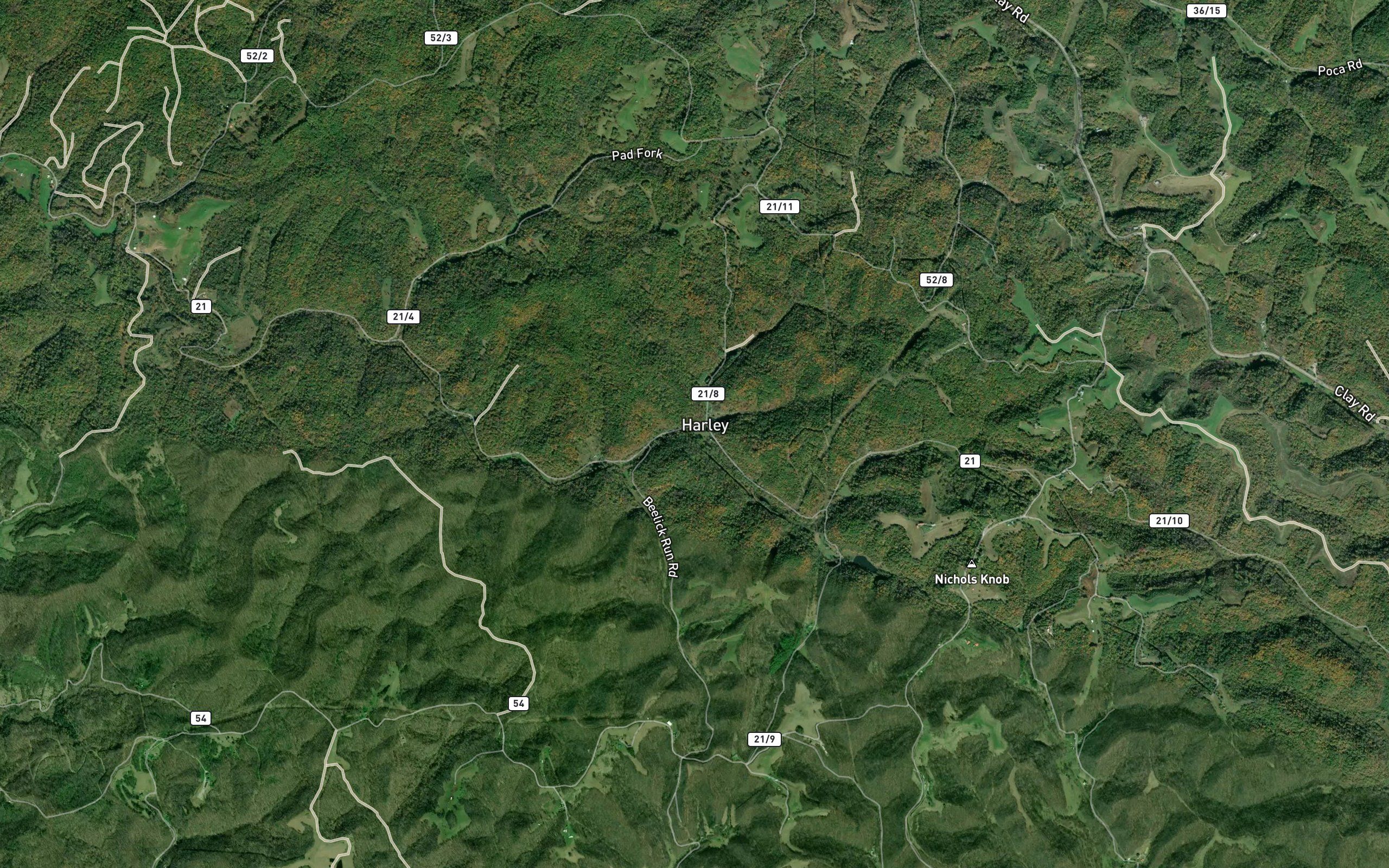 Hollywood Fork