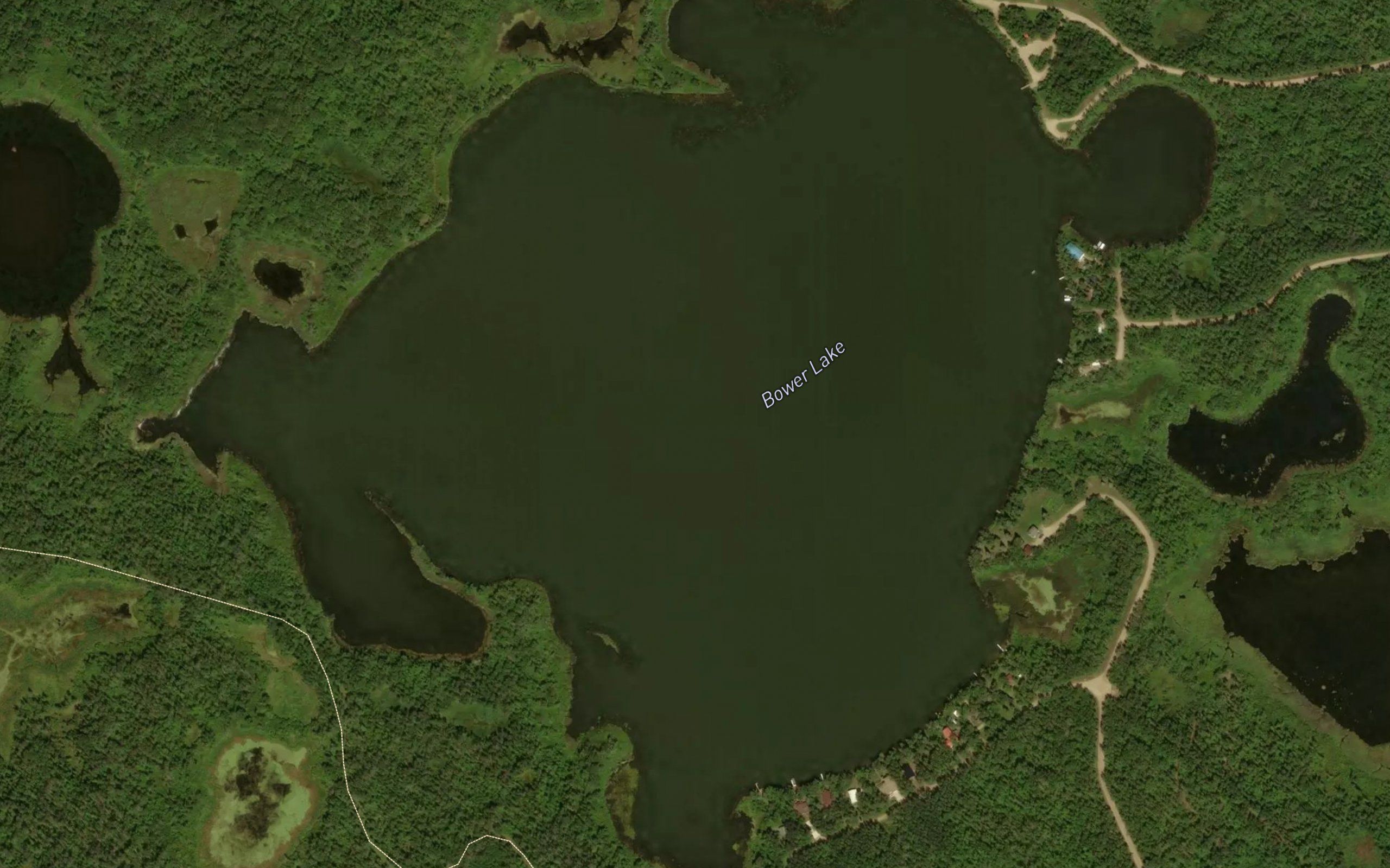 Bower Lake