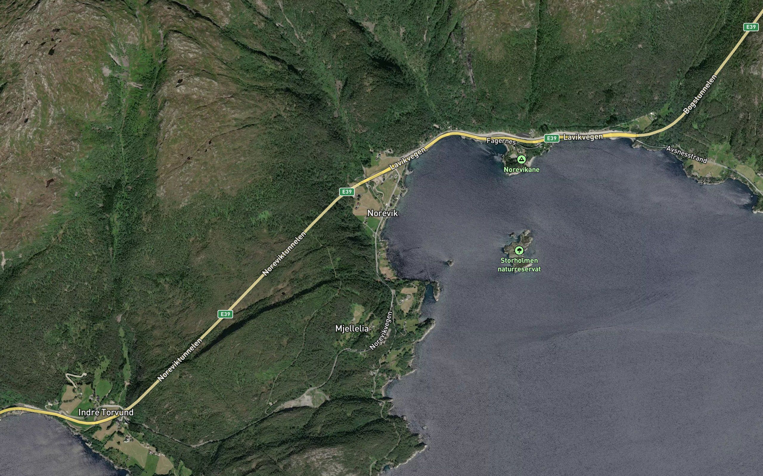 Batstovika