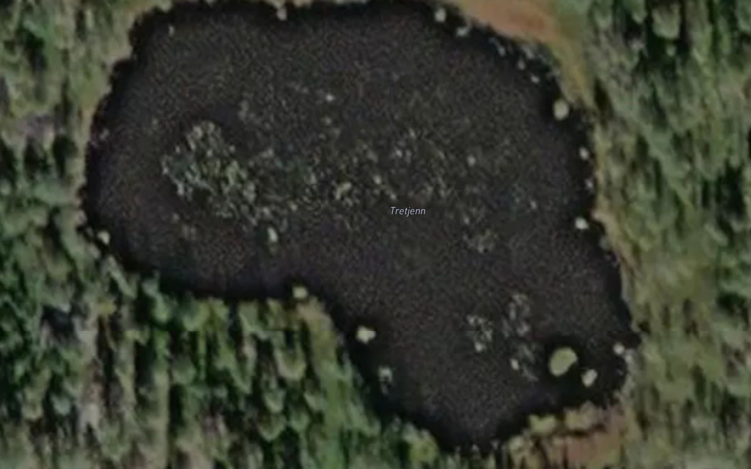 Tretjenn