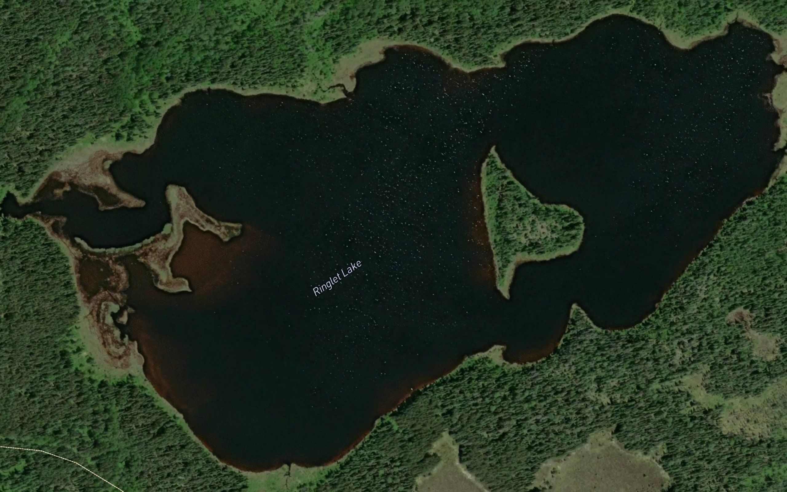 Ringlet Lake