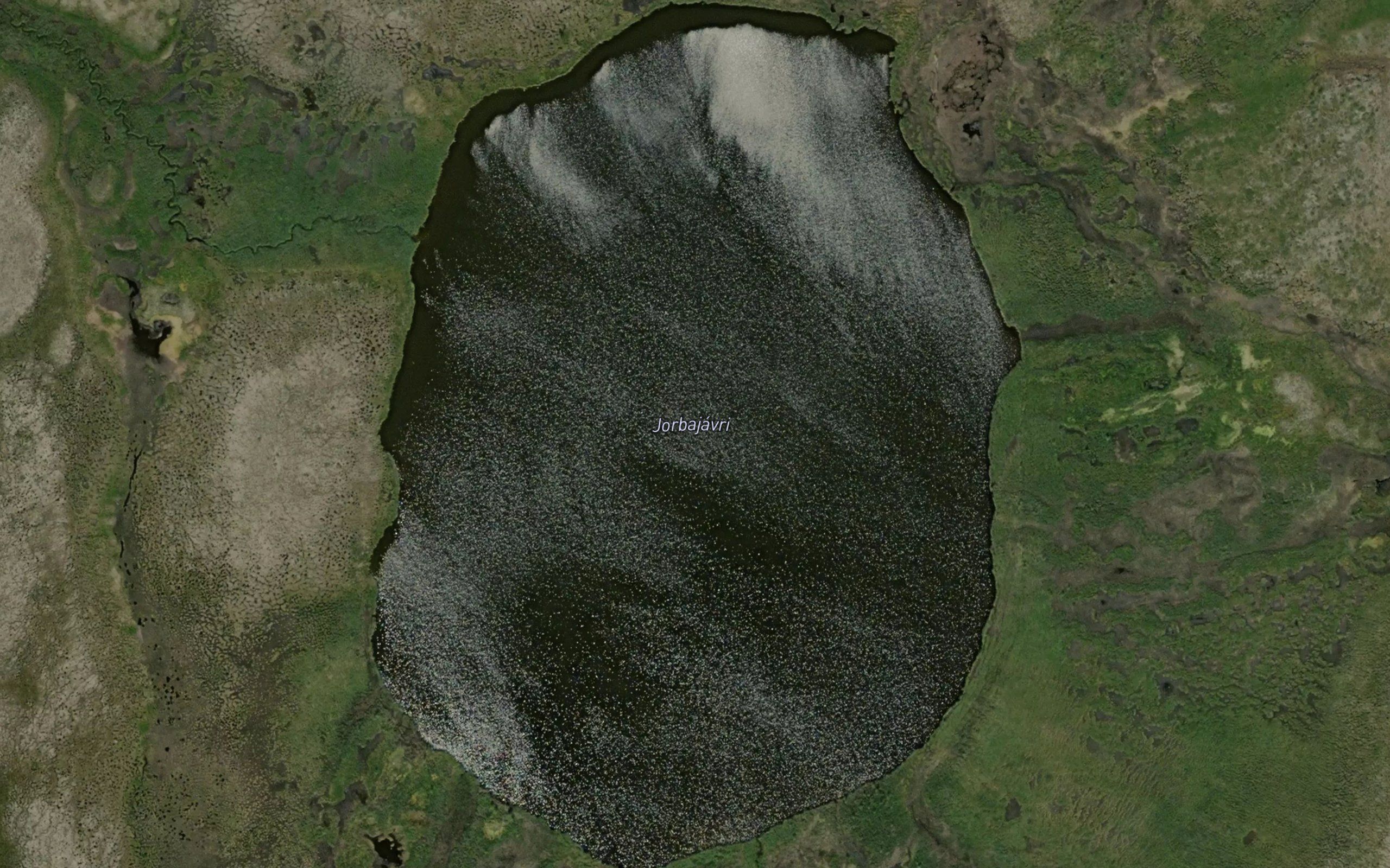 Jarbajavri