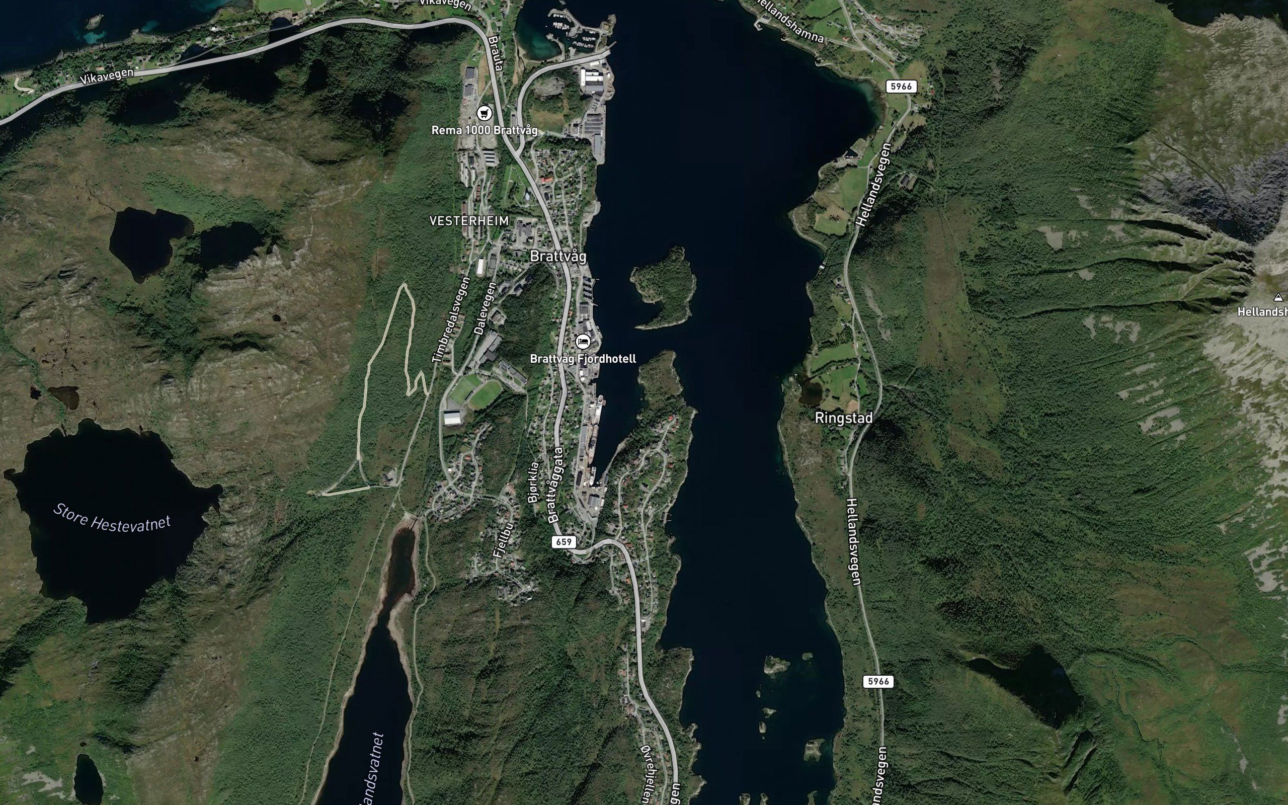 Kobbevikane