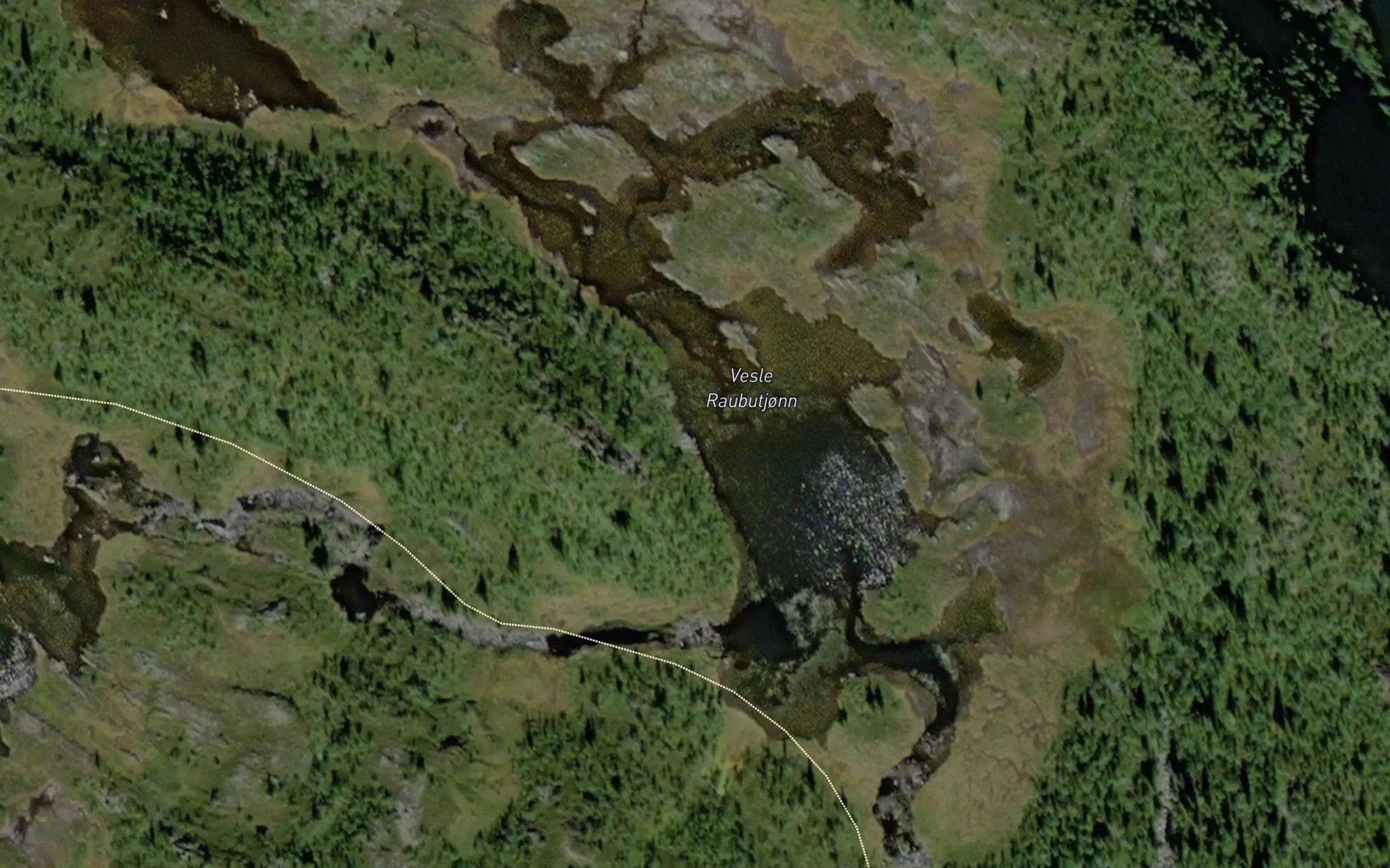 Raudbutjorni,vesle