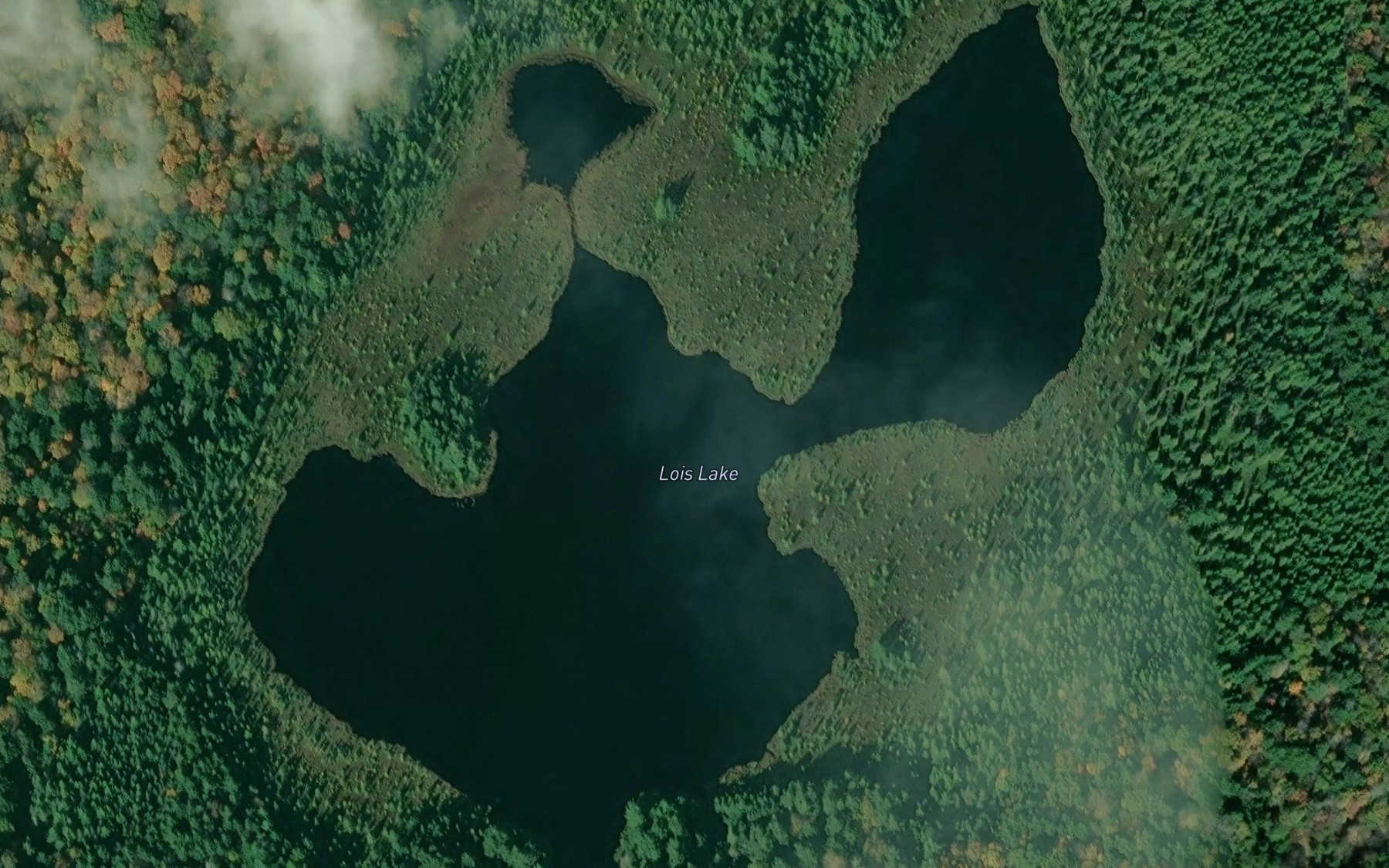 Satellite map of the Lois Lake