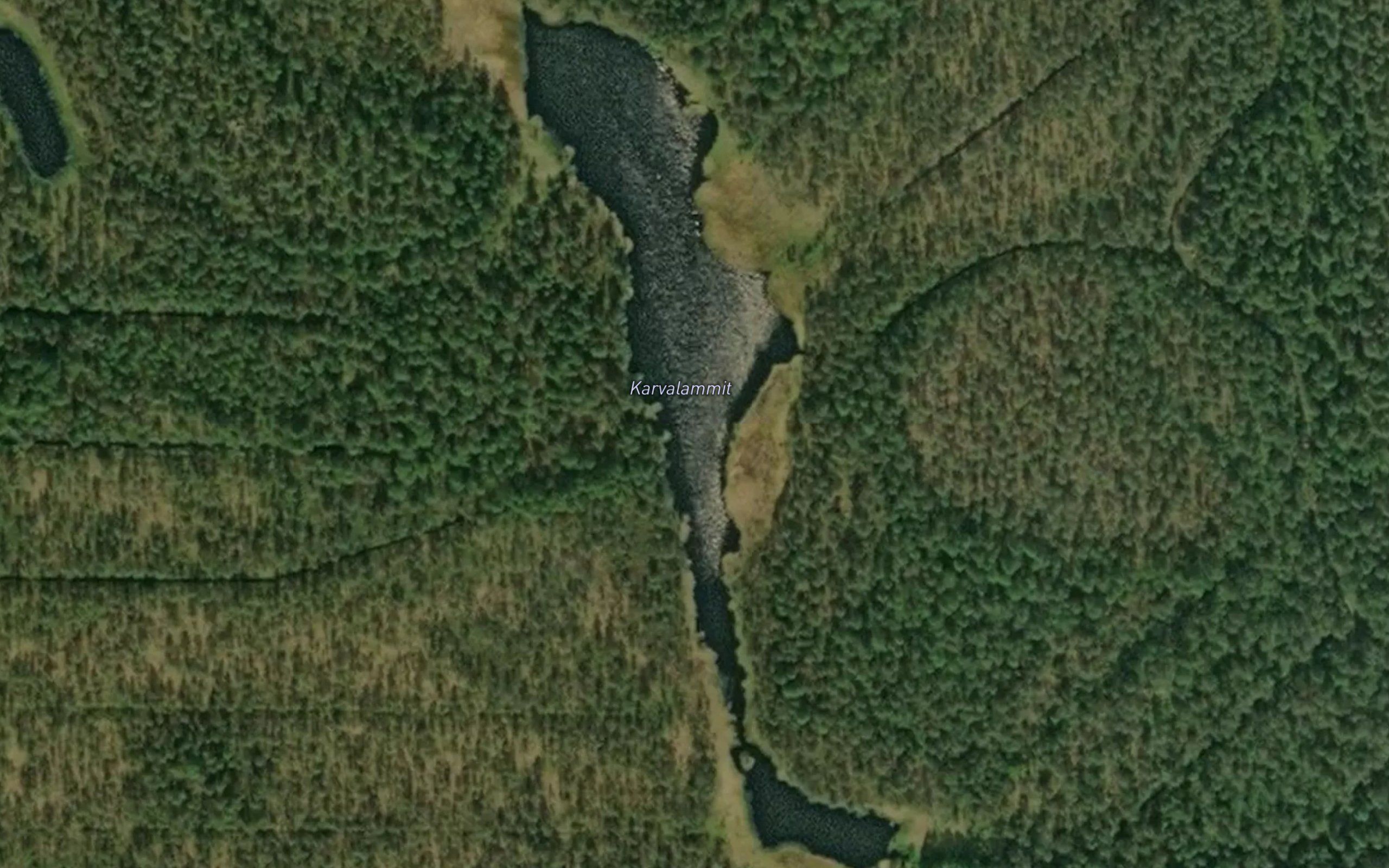Karvalammit