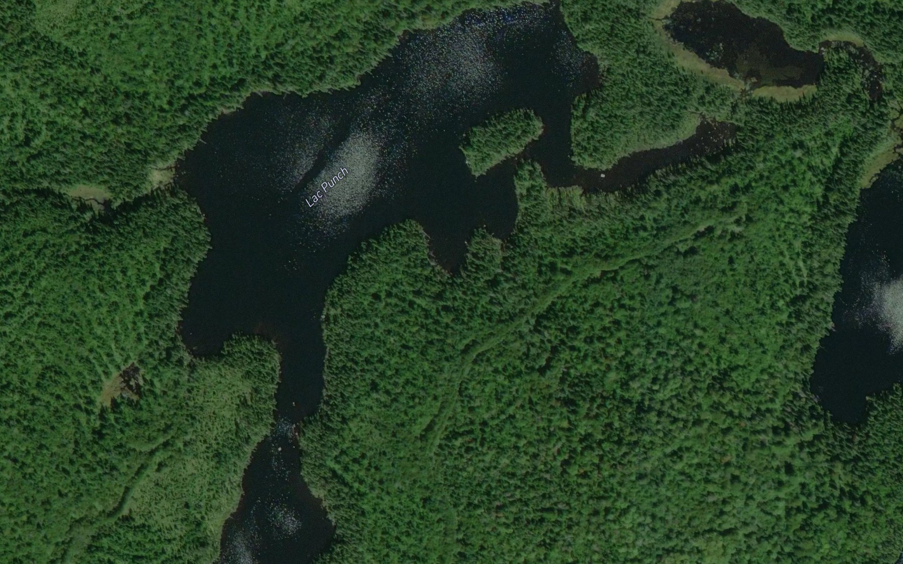 Satellite map of the Lac Punch