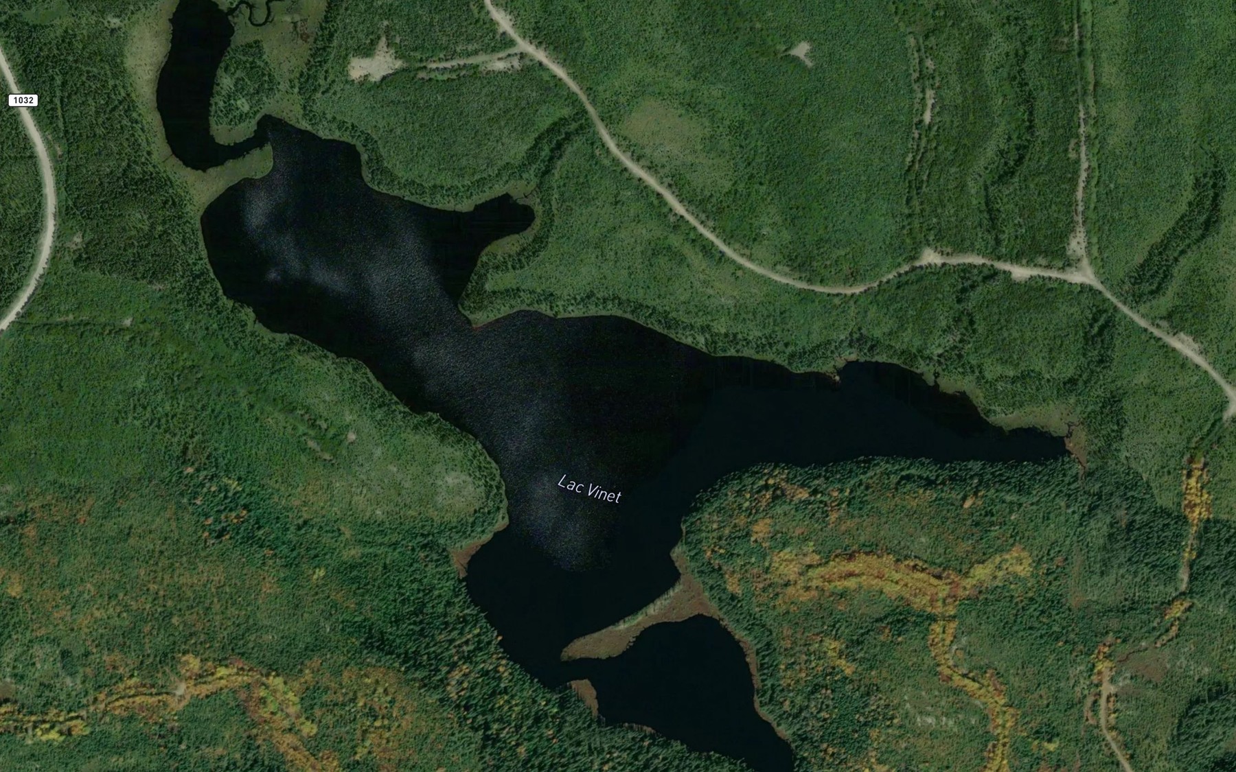 Satellite map of the Lac Vinet