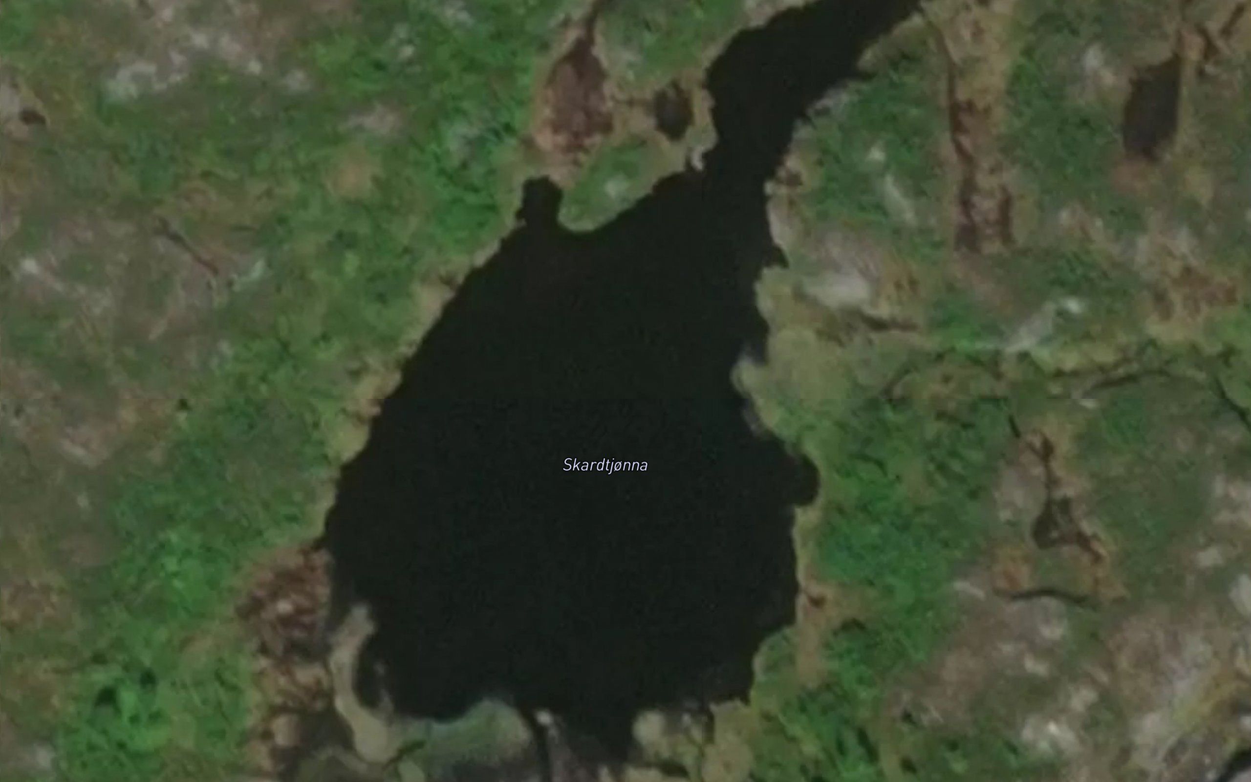 Skardtjorna