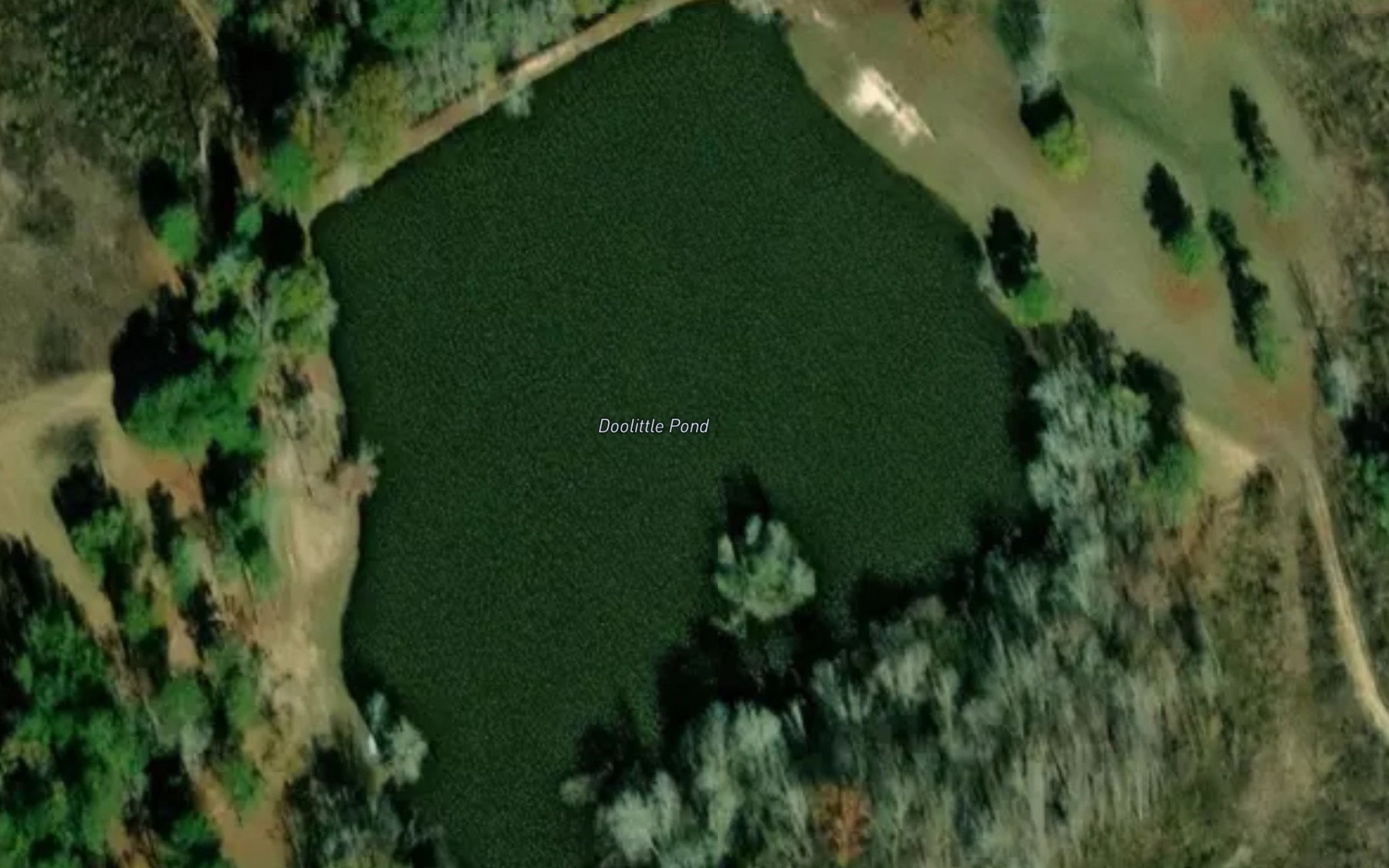 Satellite map of the Doolittle Pond