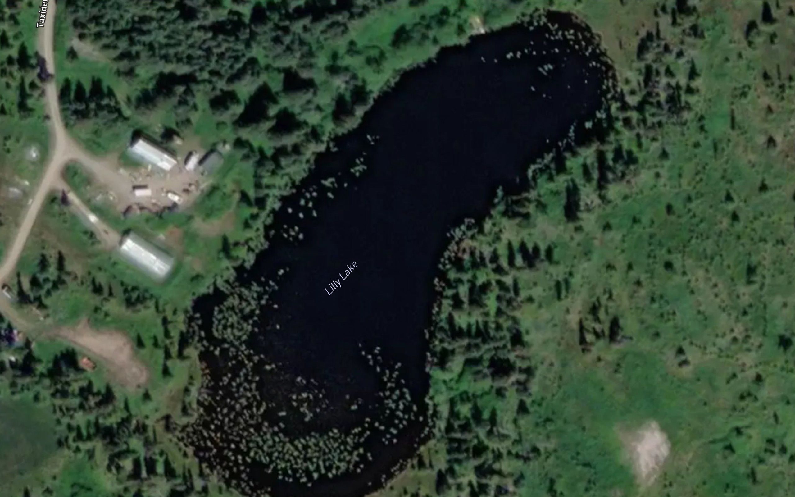 Lilly Lake