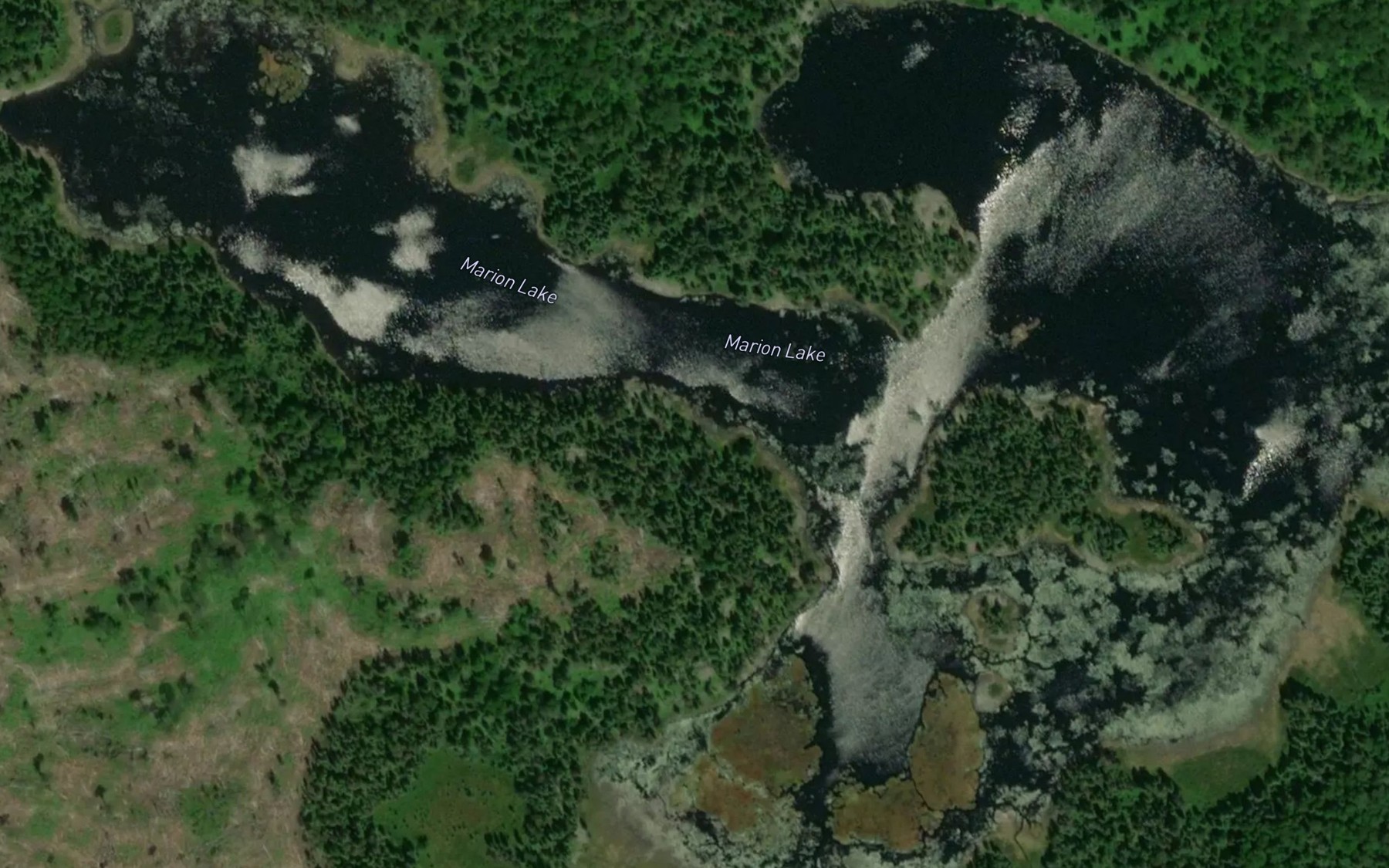 Satellite map of the Marion Lake