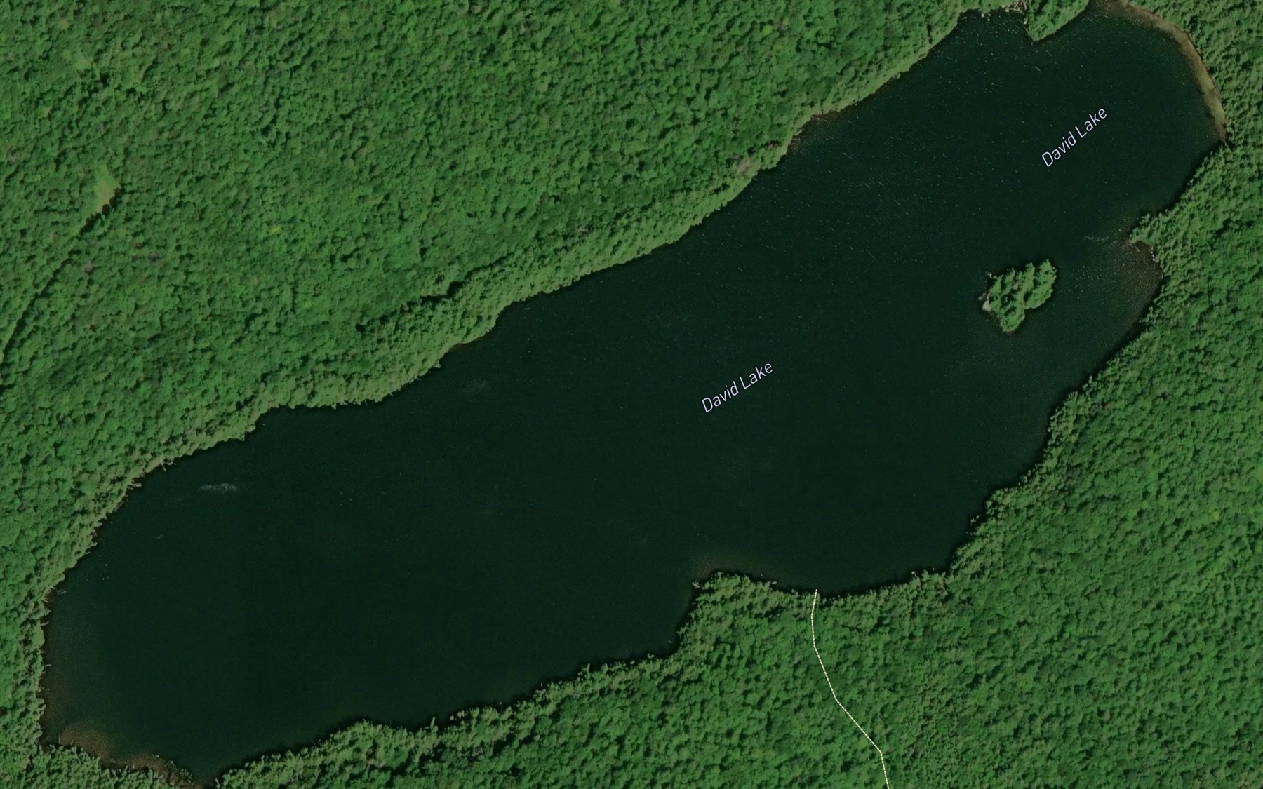 Satellite map of the David Lake