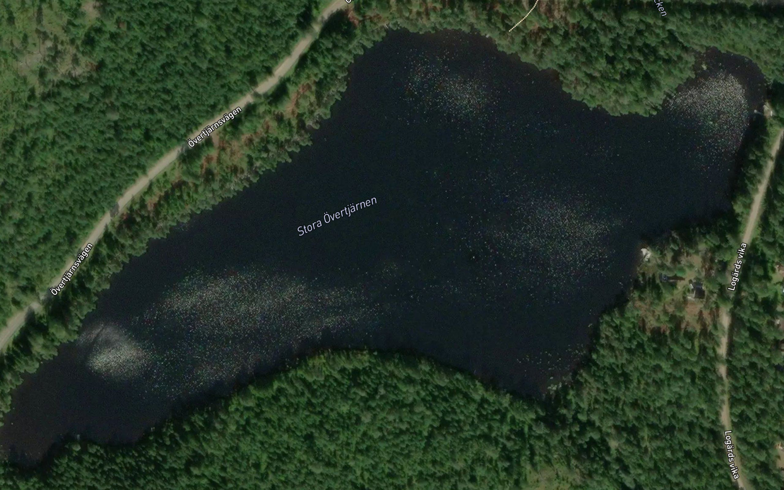 Overtjarn