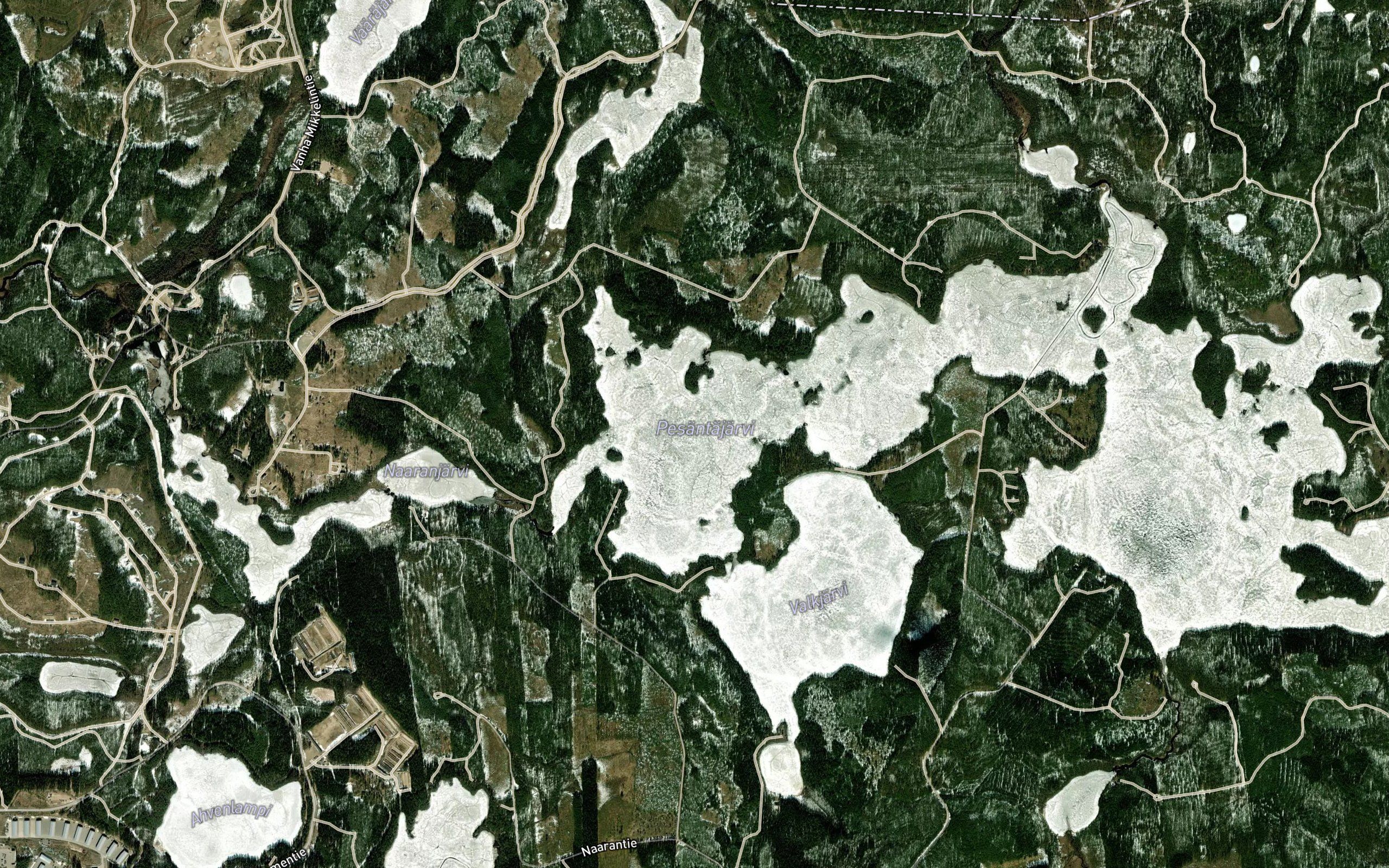 Haimaranselka