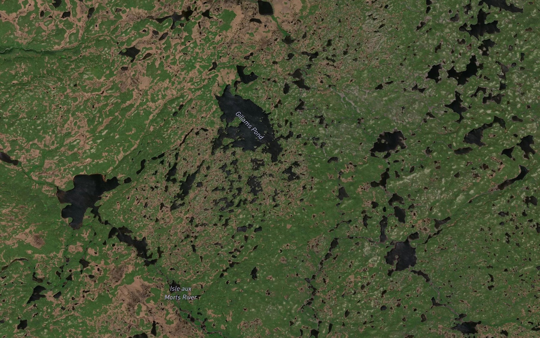 Satellite map of the Gillams Pond