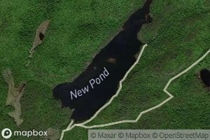 New Pond