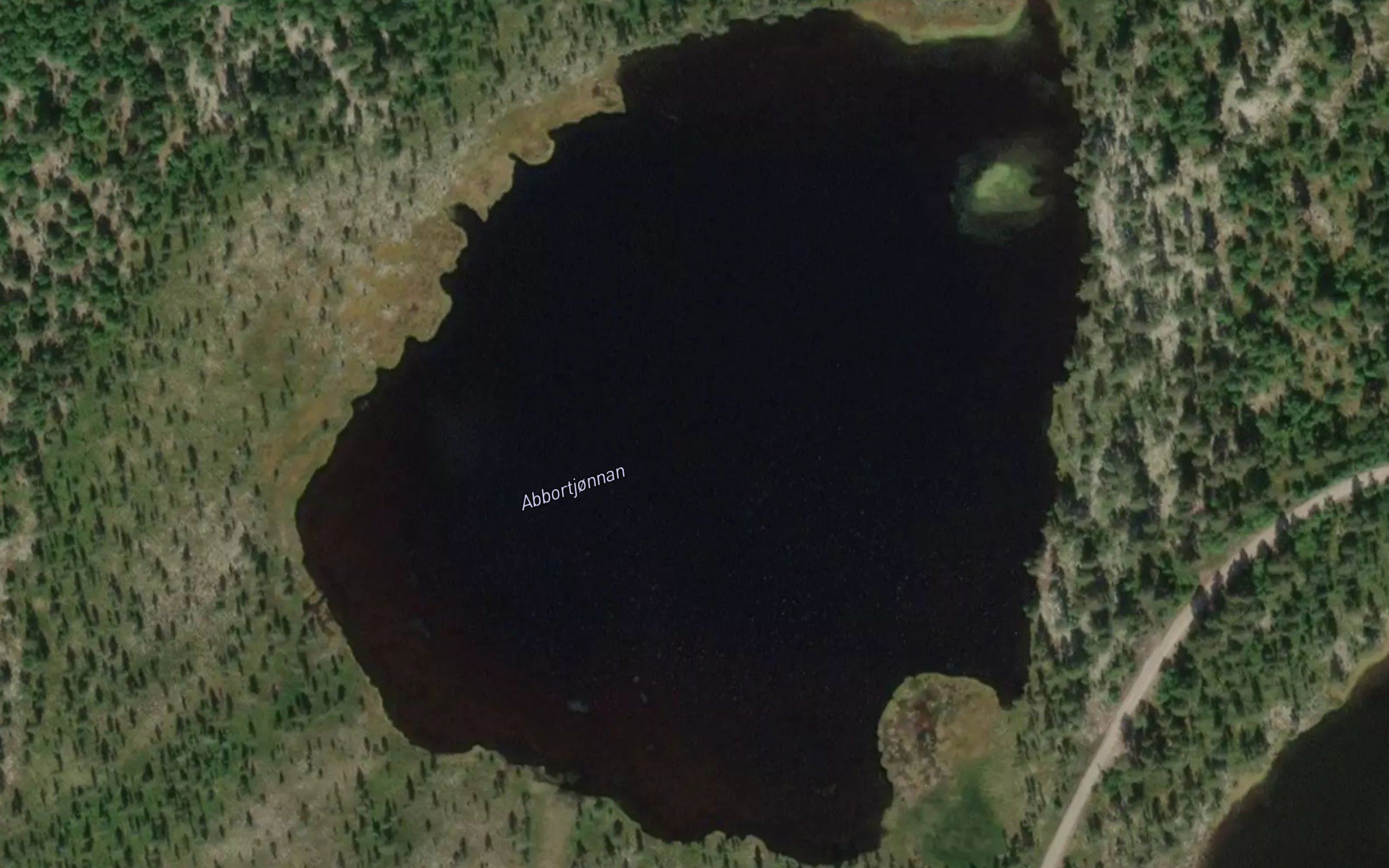 Abbortjornane