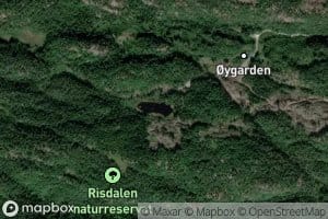 Gullringstjonn