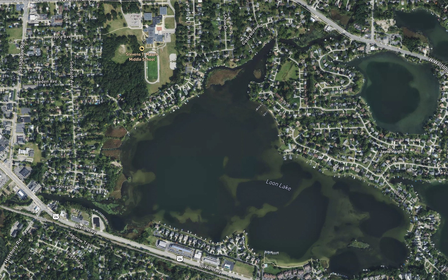 Satellite map of the Loon Lake