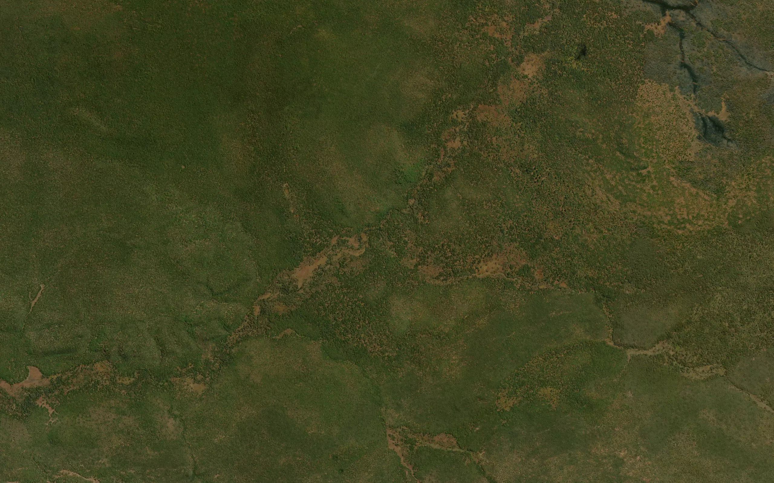 Nyabula