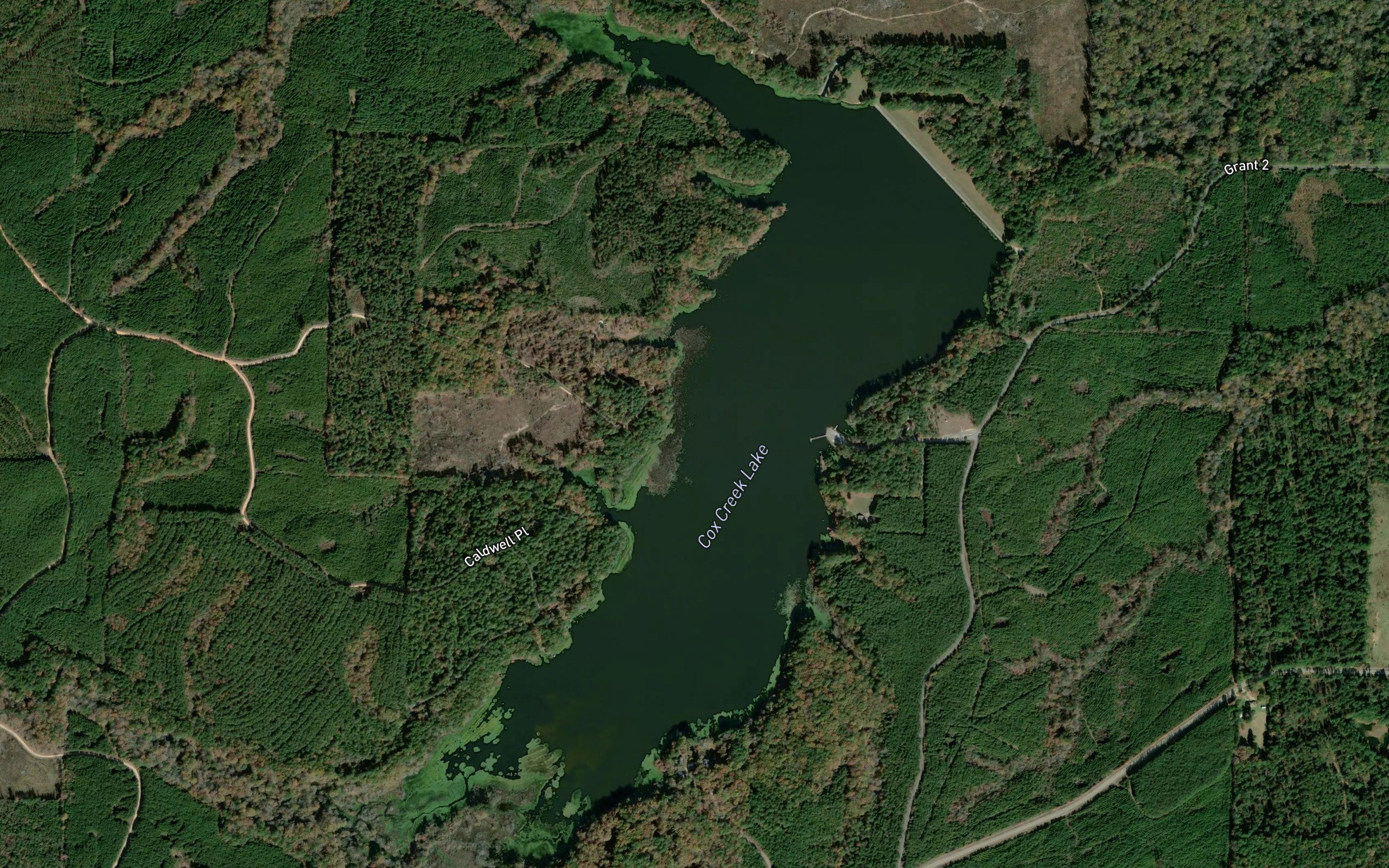 Cox Creek Lake