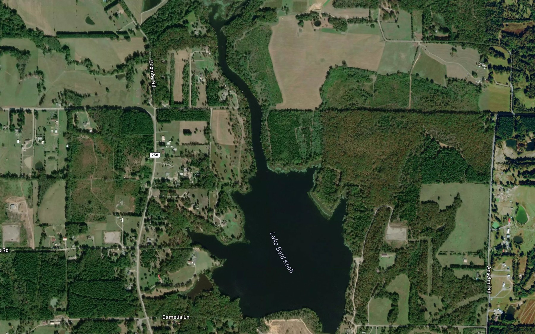 Satellite map of the Lake Bald Knob