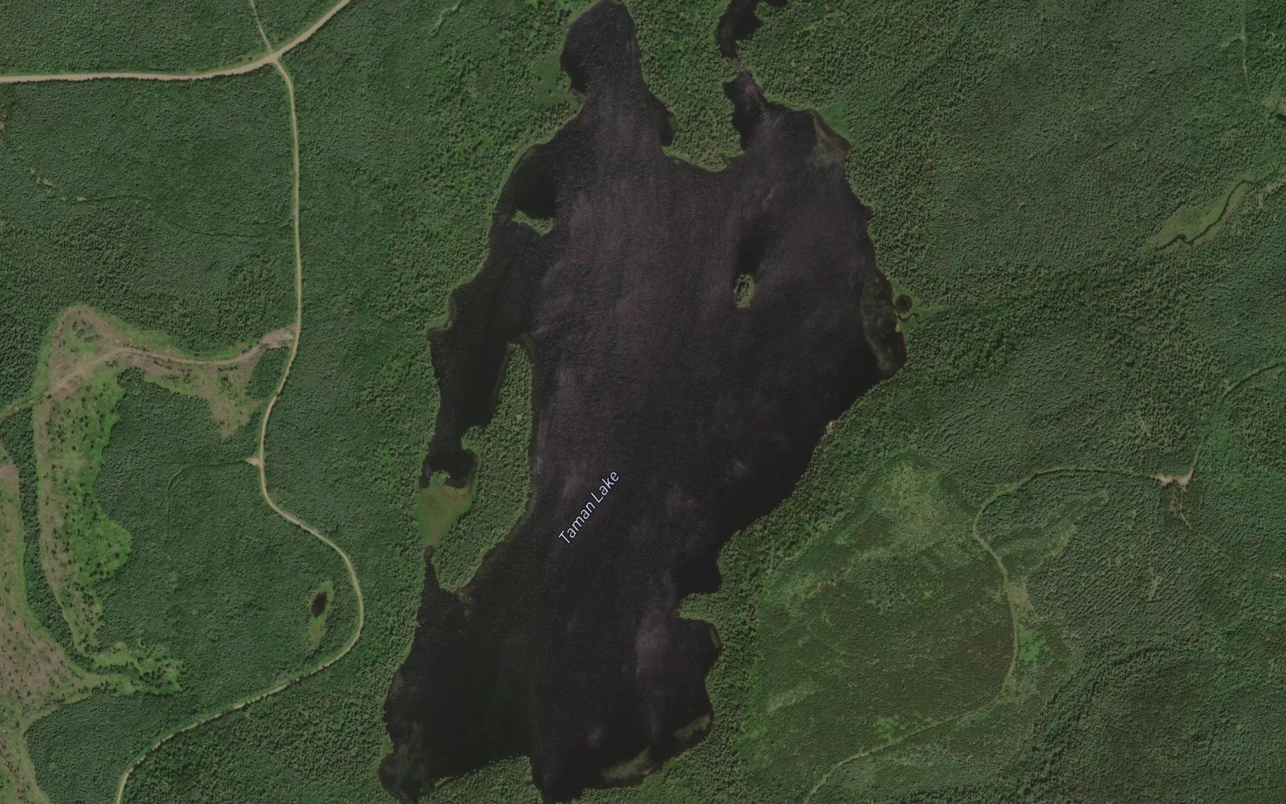 Satellite map of the Taman Lake