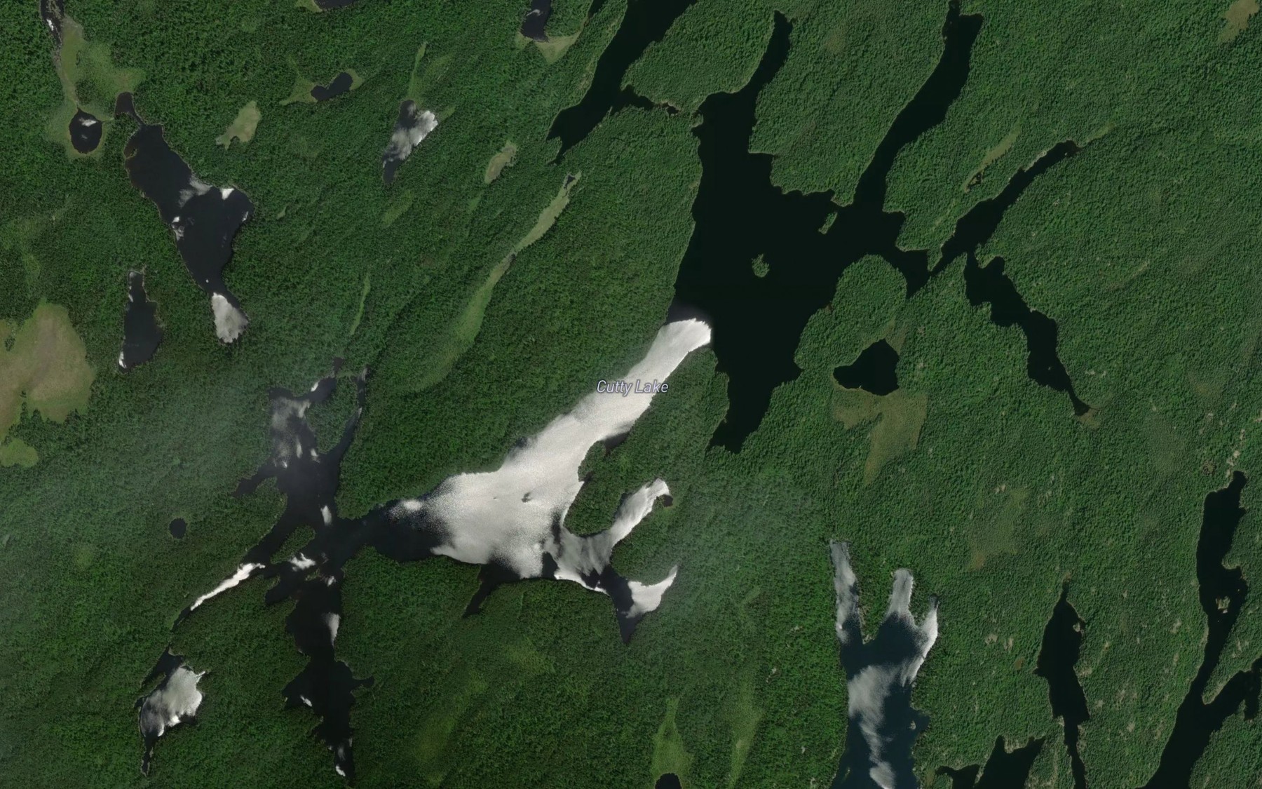 Satellite map of the Cutty Lake