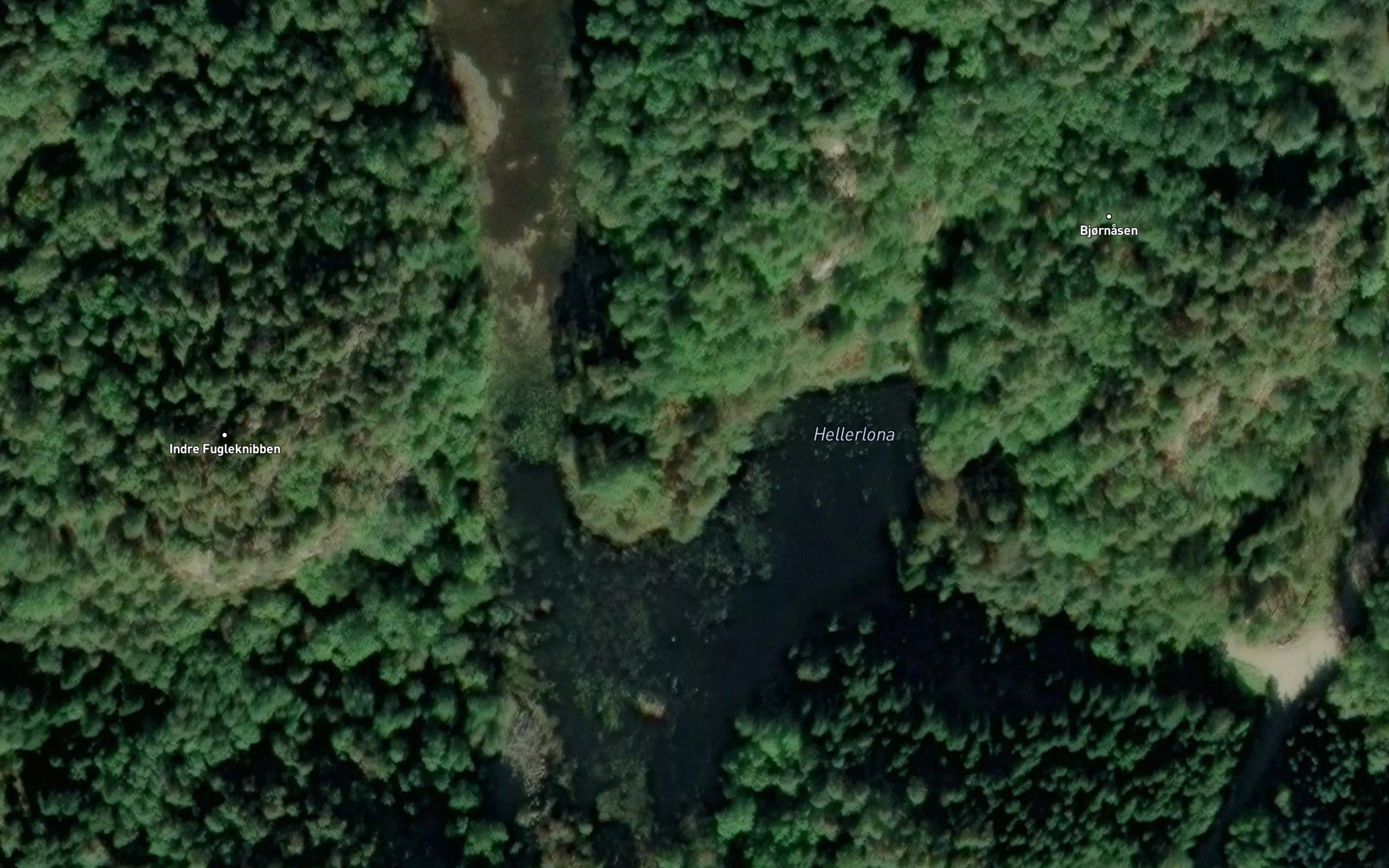 Hellerlona