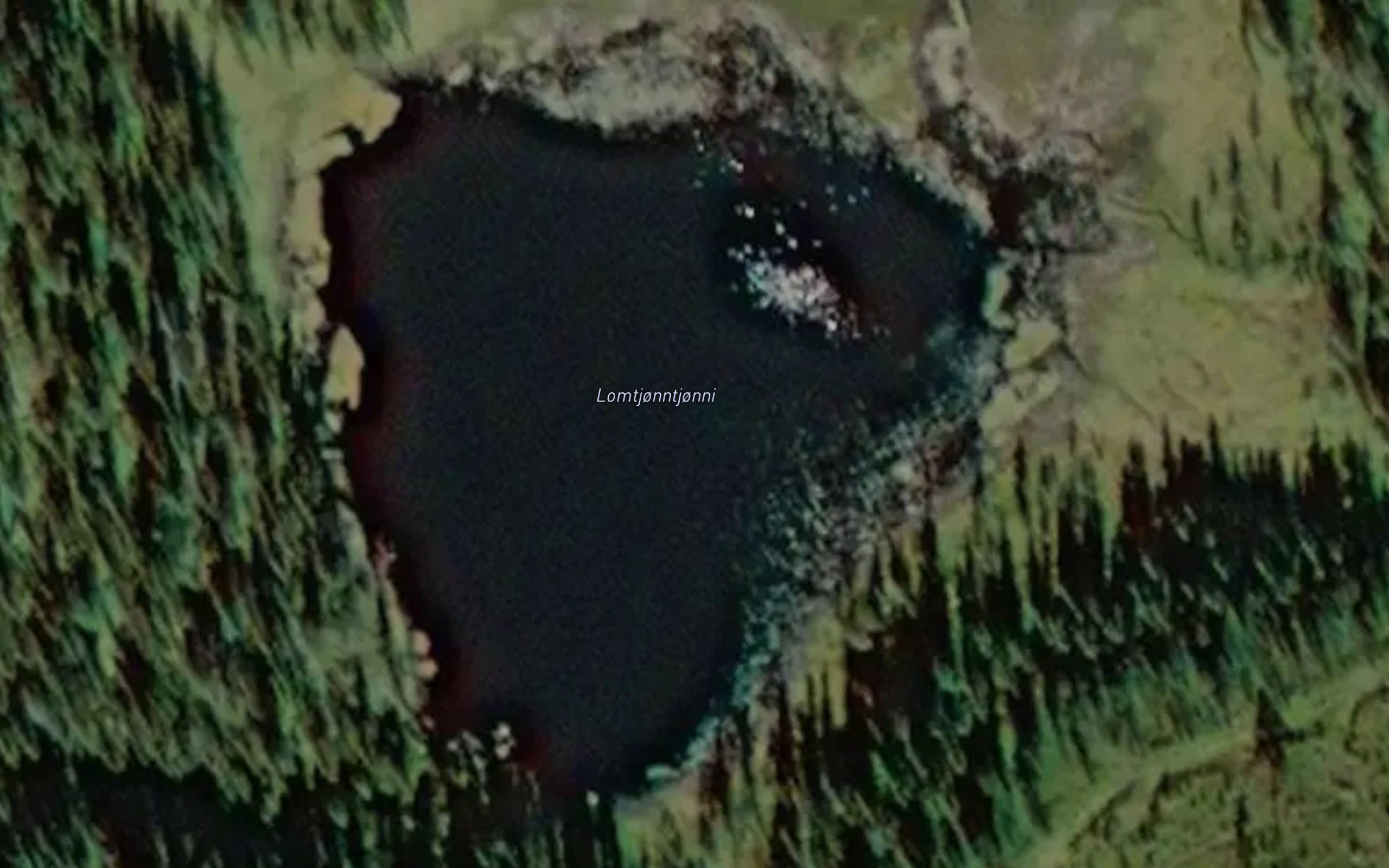 Lomtjorn