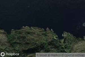 Merkevika