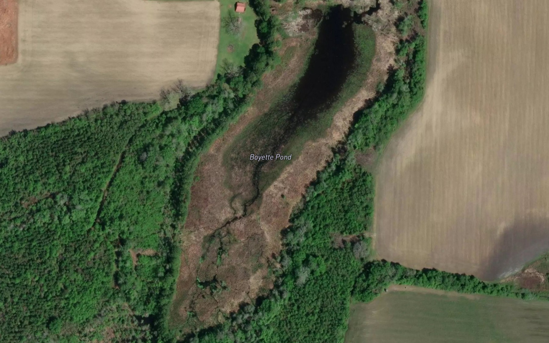 Satellite map of the Boyette Pond