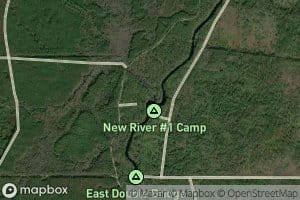 Cat Creek