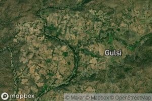 Gulsi Nala