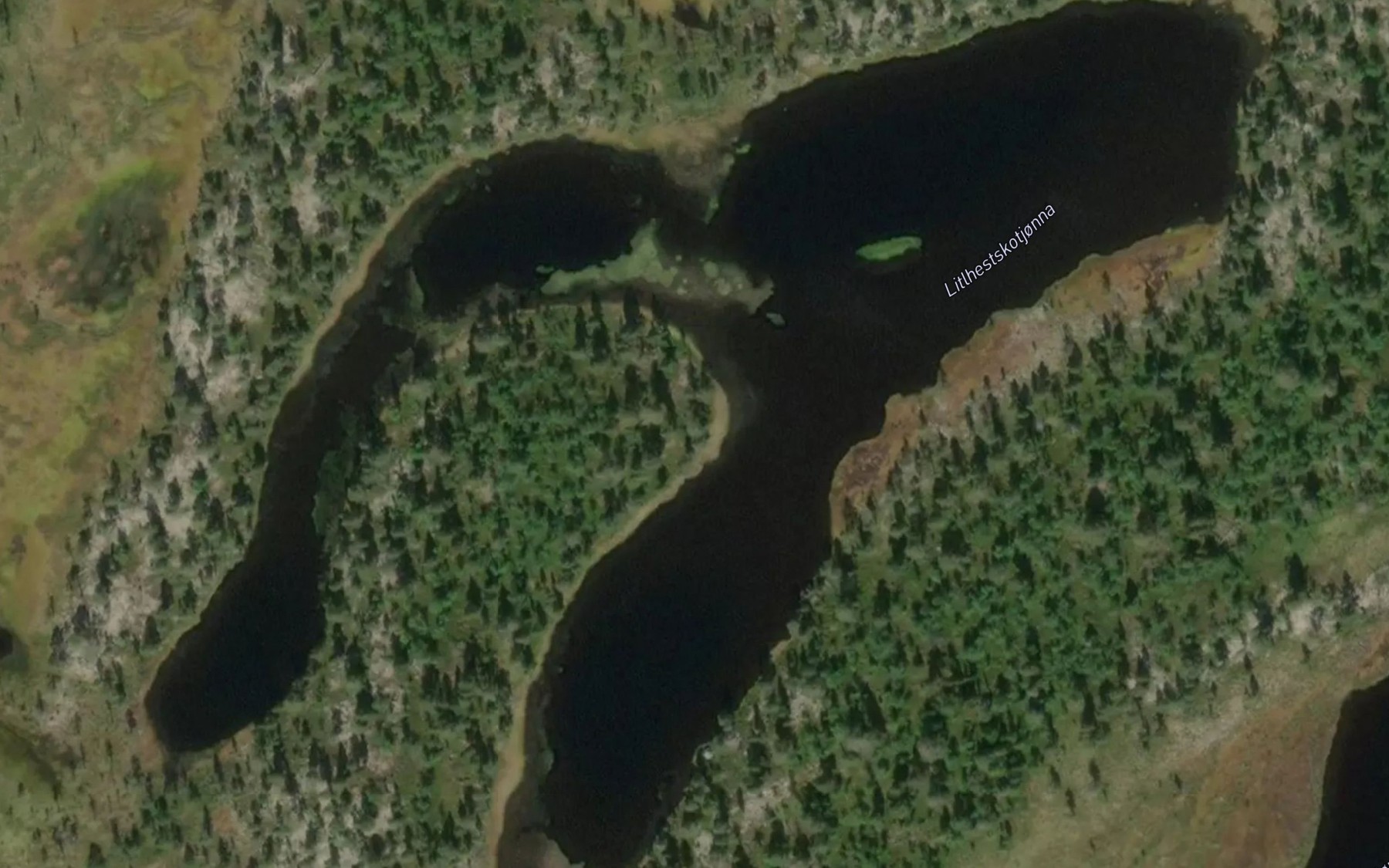 Satellite map of the Hesteskovatna