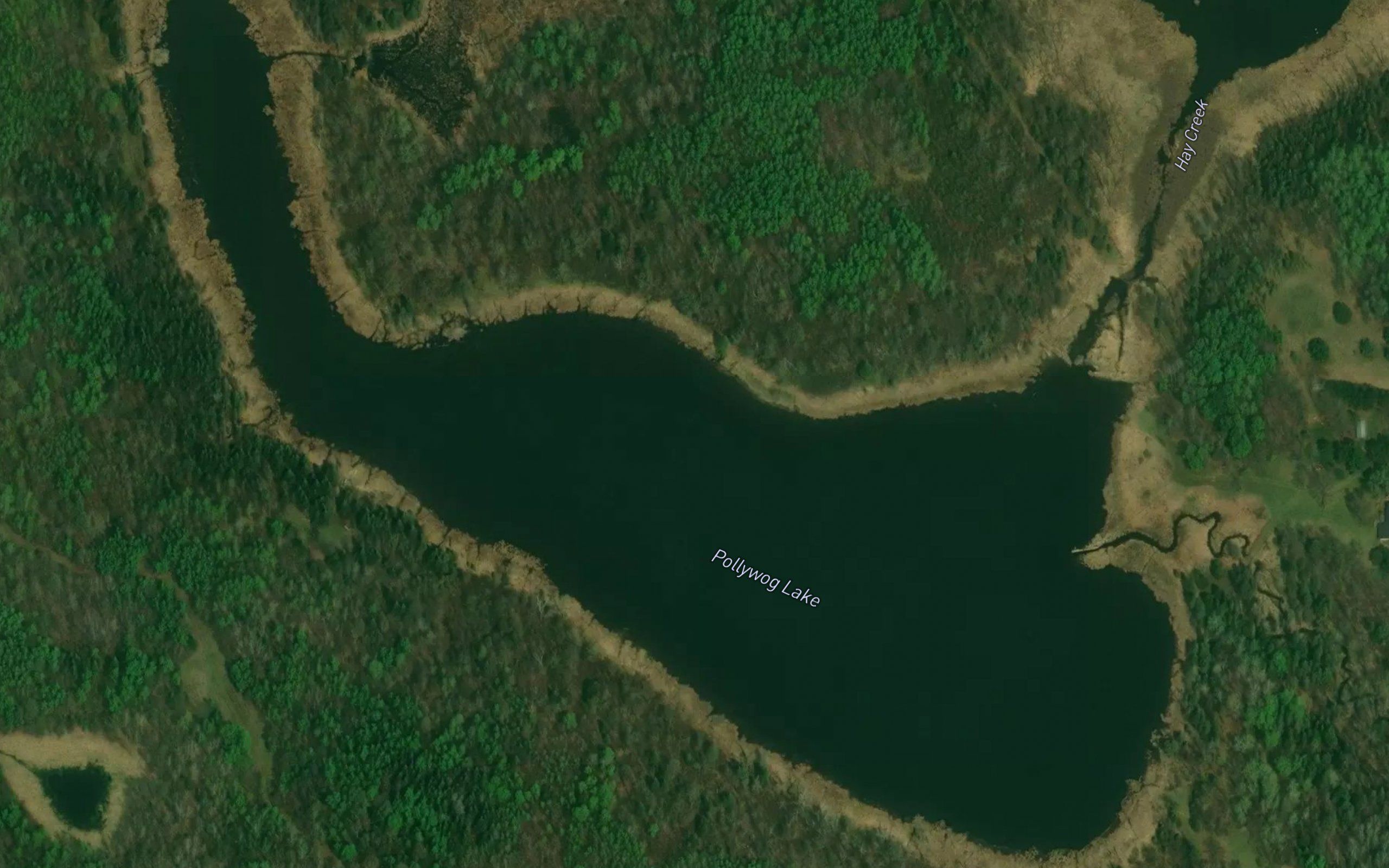 Pollywog Lake