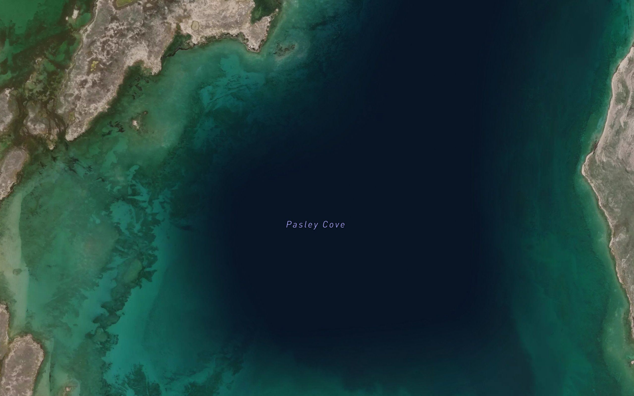 Pasley Cove