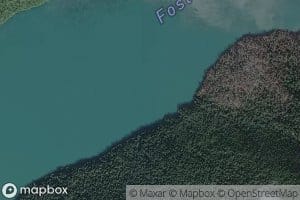 Foster Arm