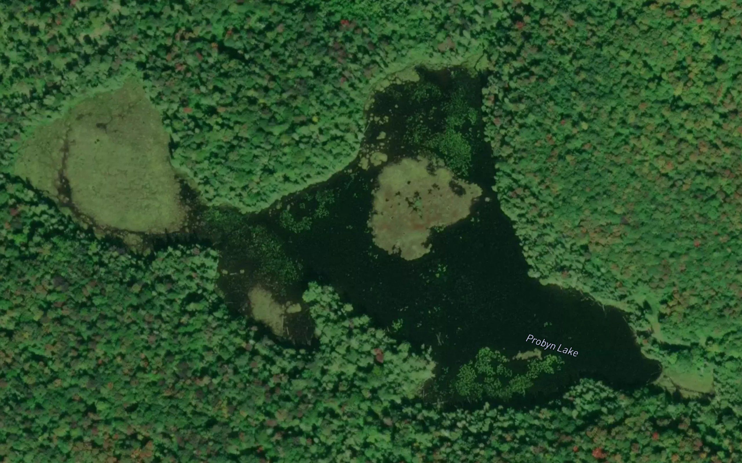 Probyn Lake