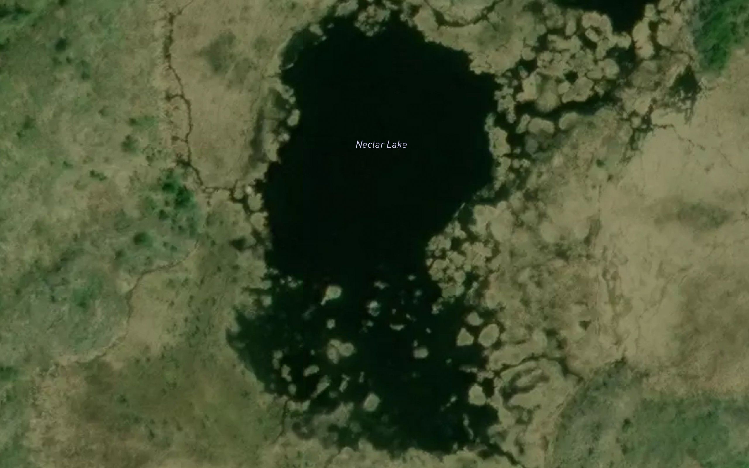 Nectar Lake