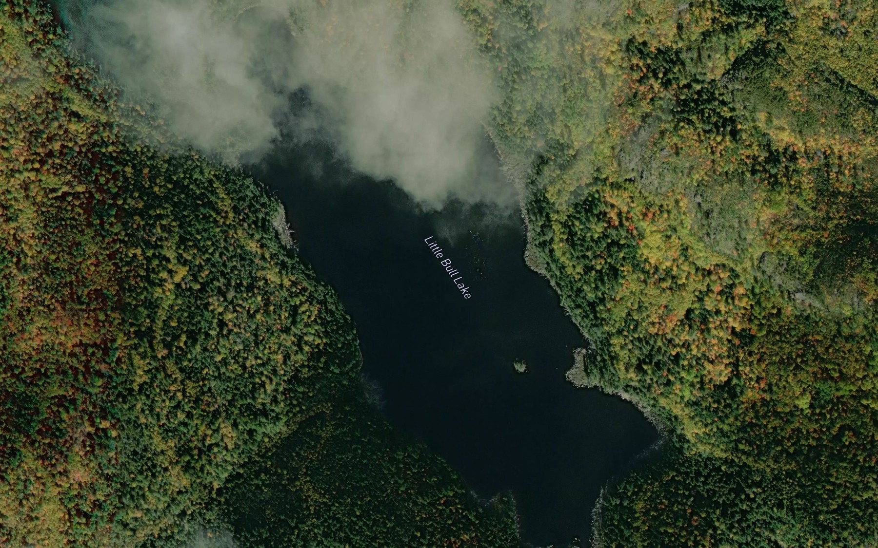 Satellite map of the Little Bull Lake