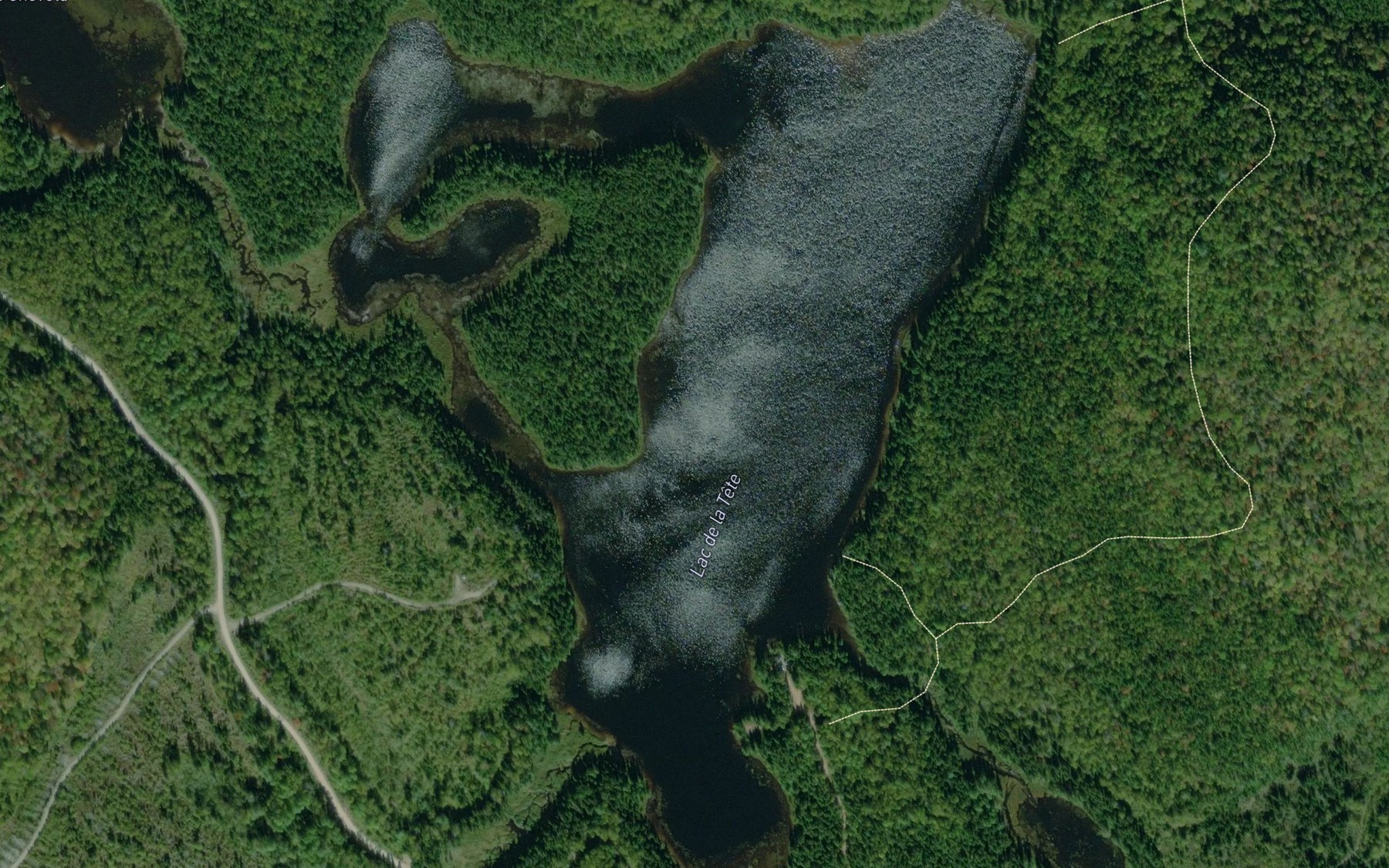 Satellite map of the Lac de la Tete