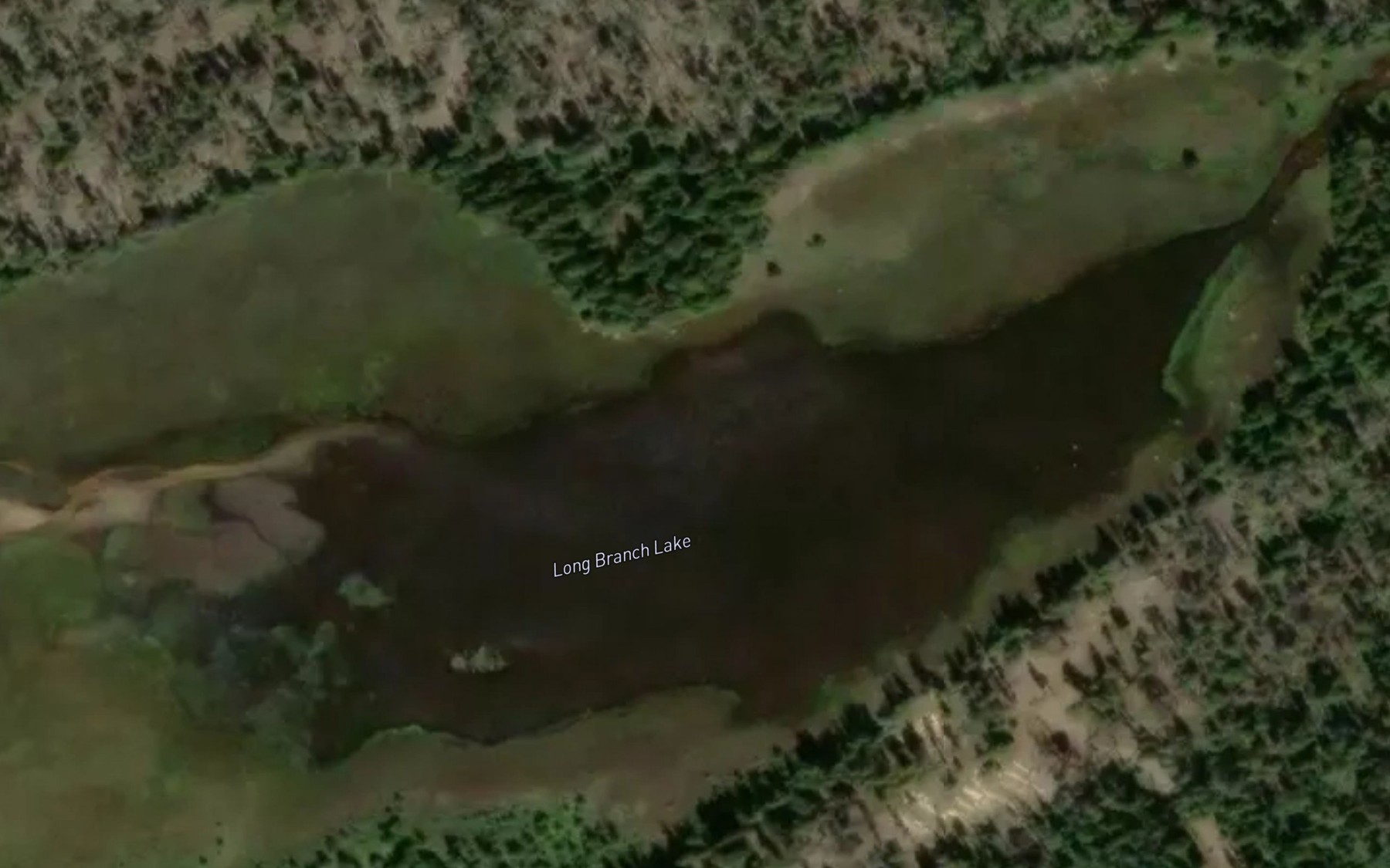 Satellite map of the Long Branch Lake