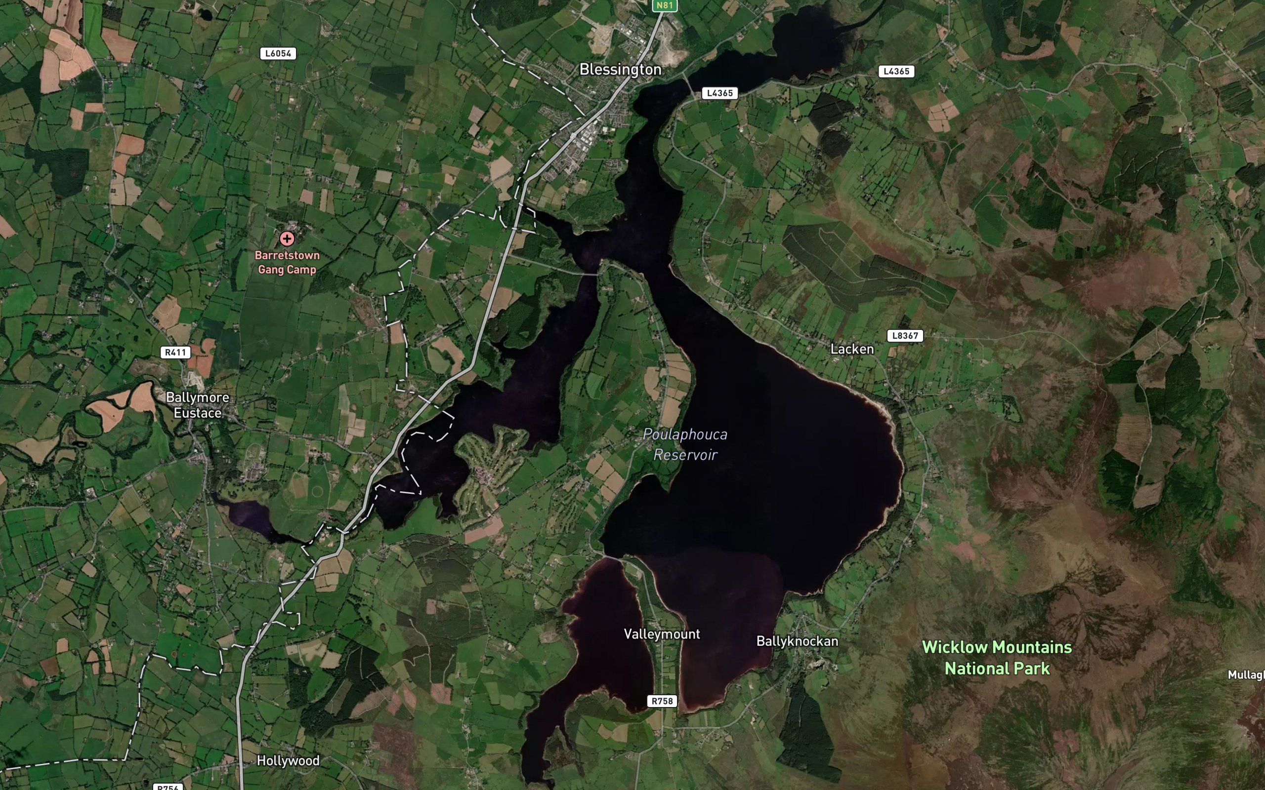 Pollaphuca Reservoir