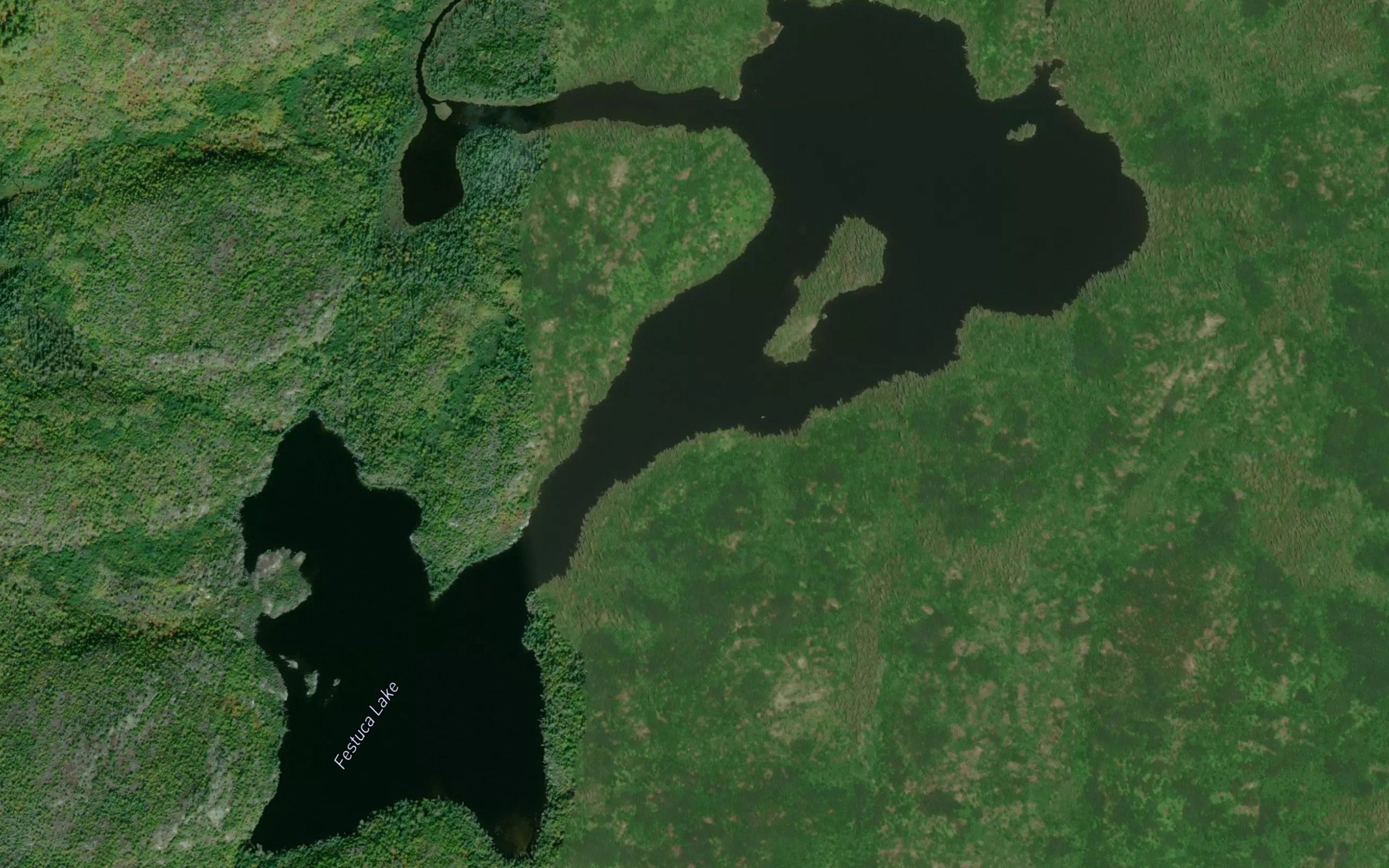 Satellite map of the Festuca Lake