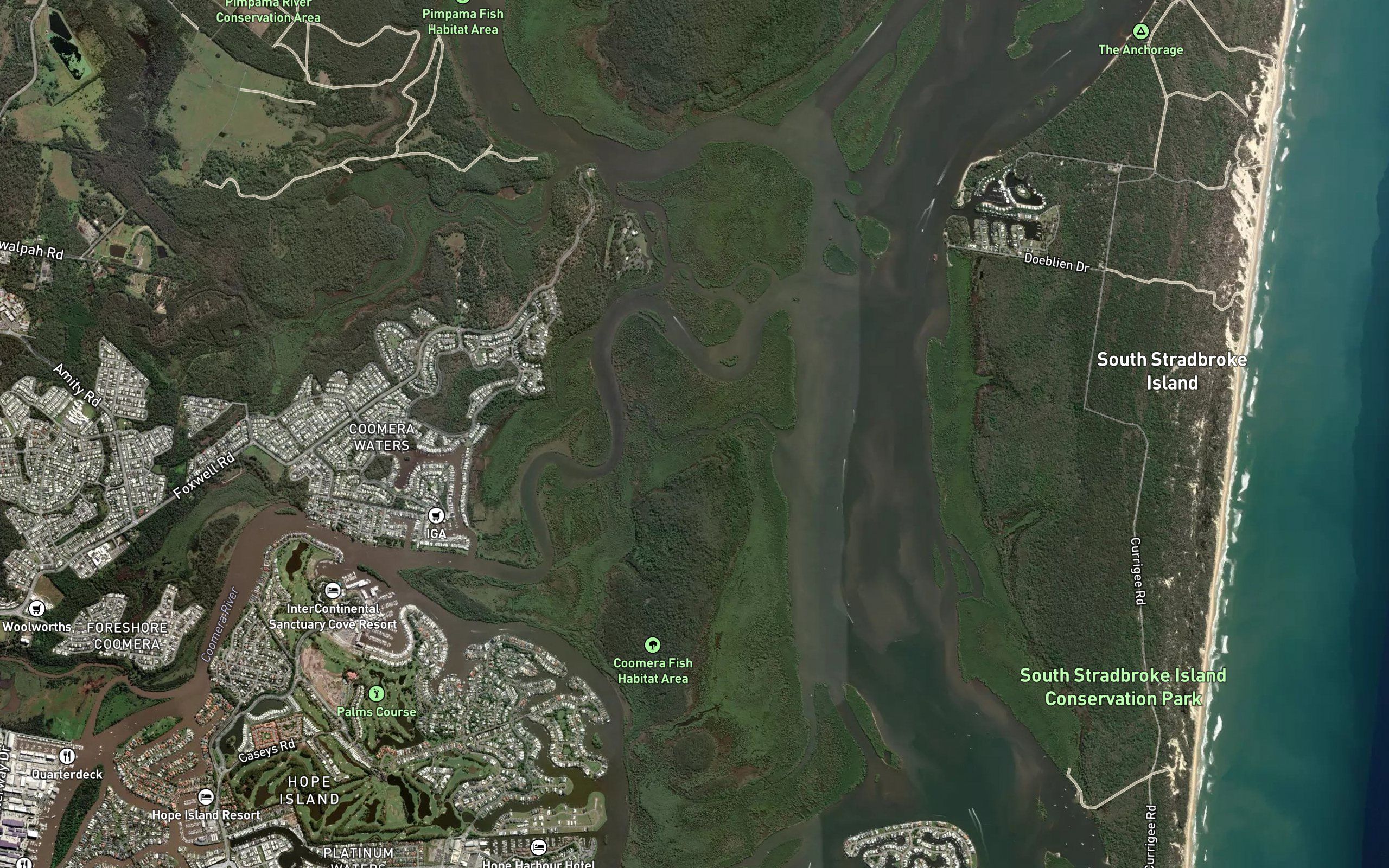 Wasp Creek